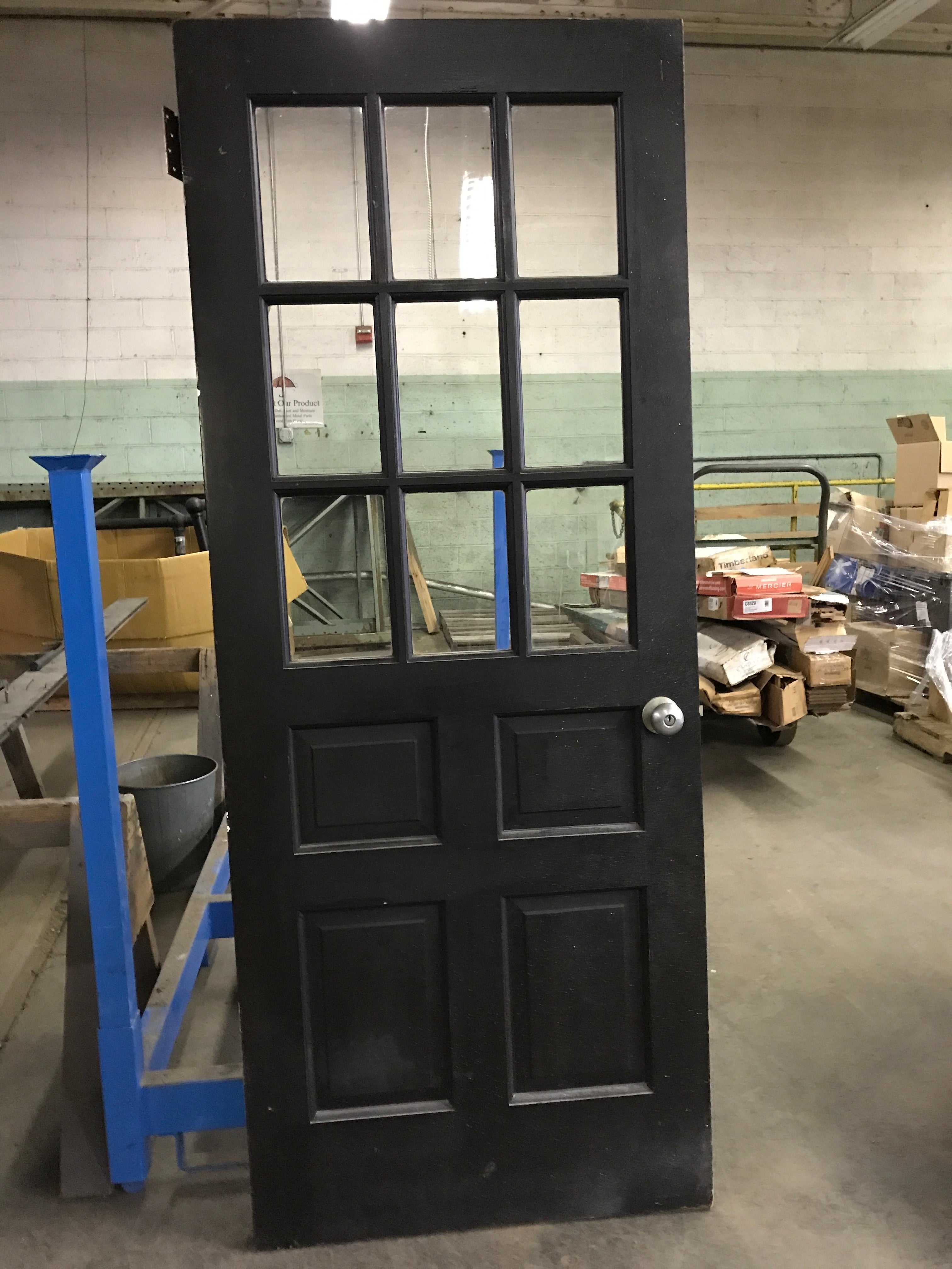9 lite exterior door
