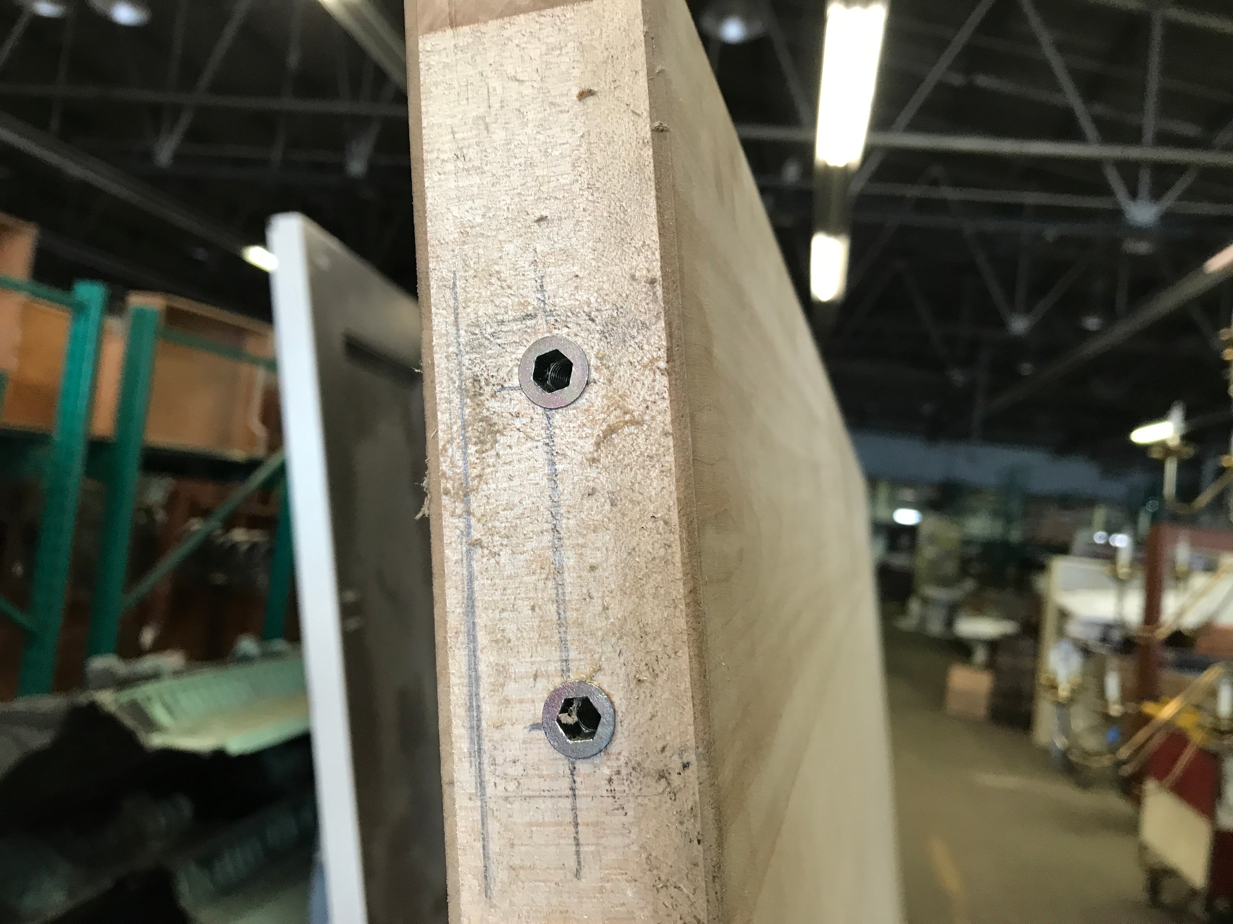 Birch Swing or Sliding Door