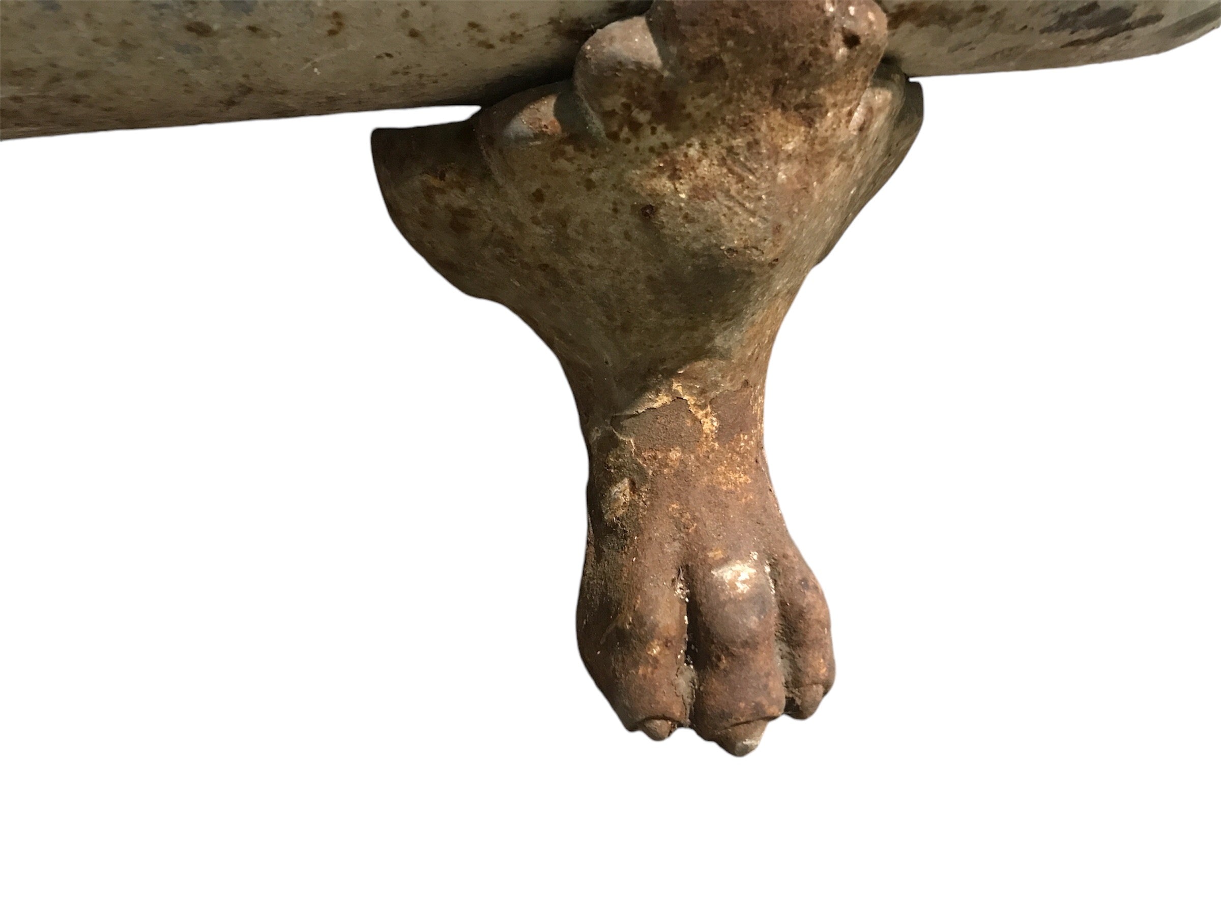 Lion Paw Clawfoot Tub