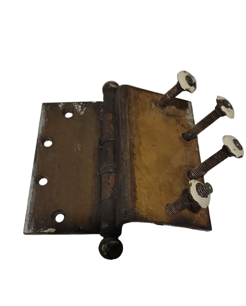 Large Antique Brass Ball Tip Door Hinge – 5½" W x 5" H x 1/8" D