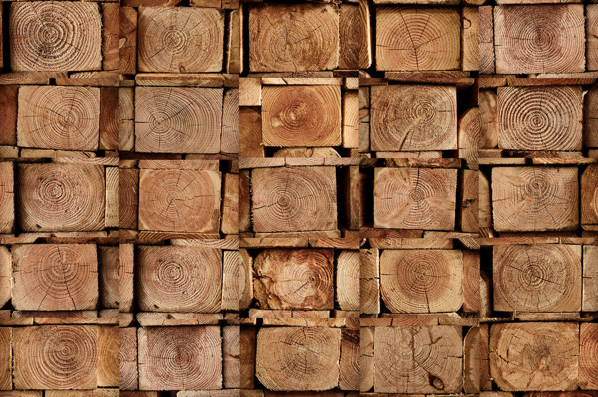 Wood Collection