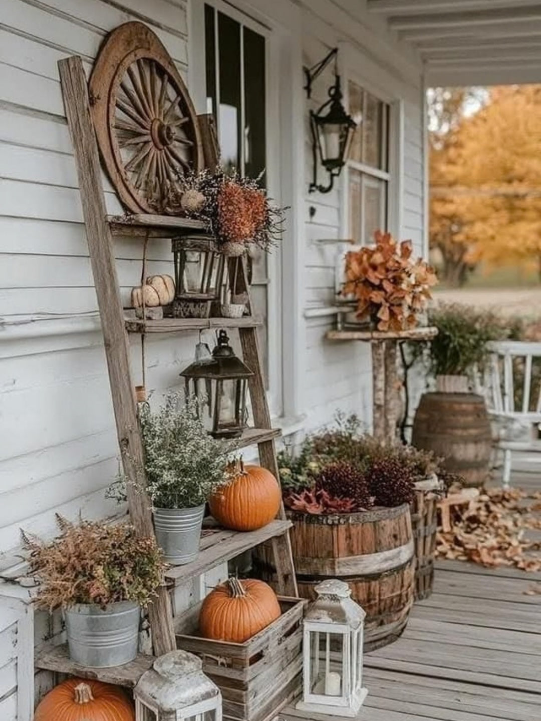 The Fall Seasonal Collection