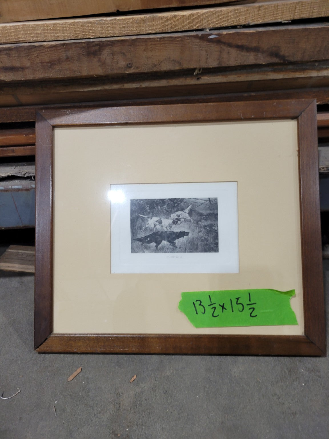 Vintage "Pointing" Sporting Dog Print in Walnut Frame