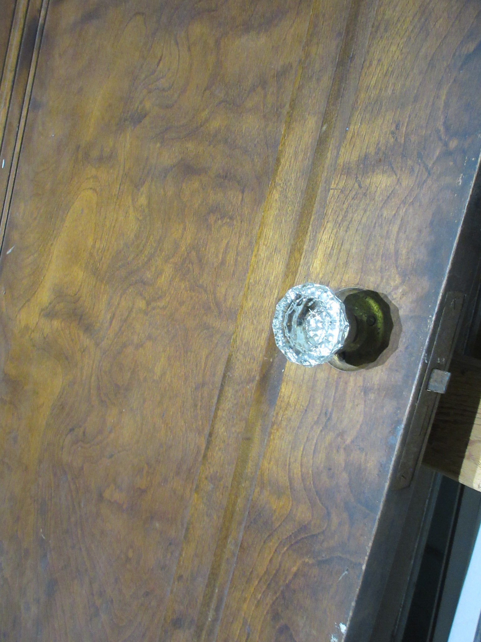 Single Panel Door with Full Mirror