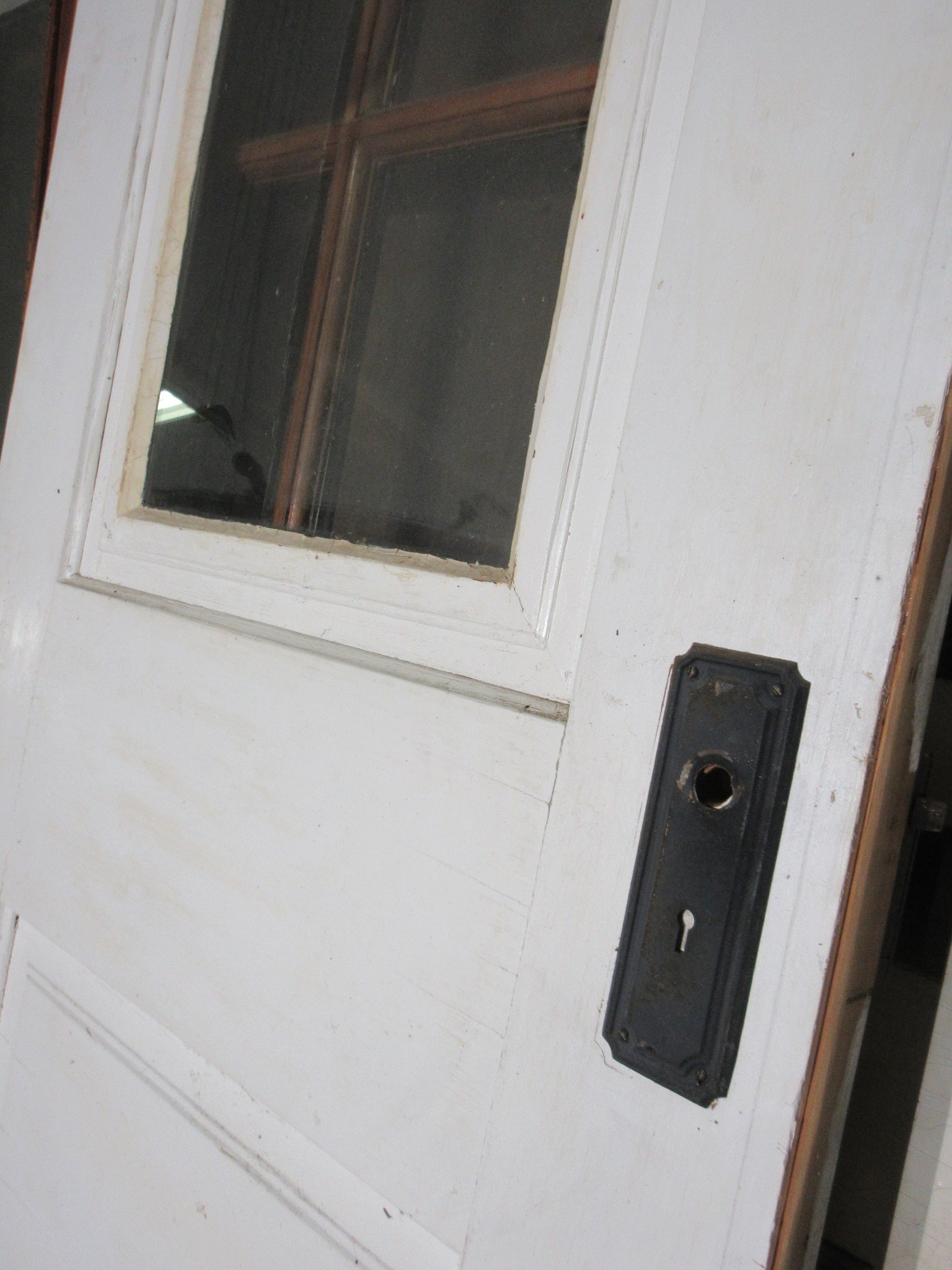 Arched Lite Door