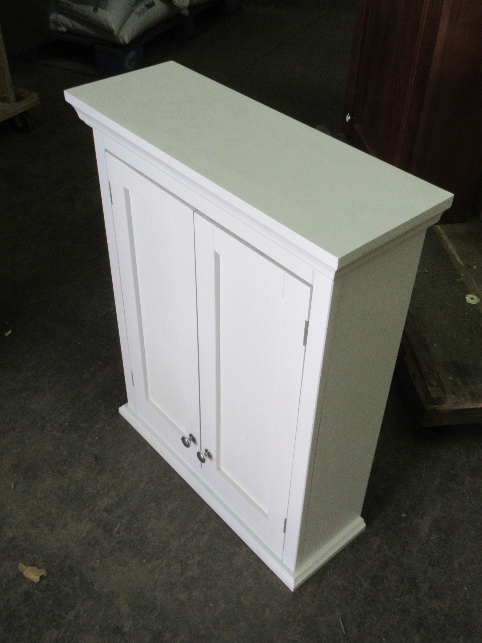 Wall Mount Two Door Cabinet