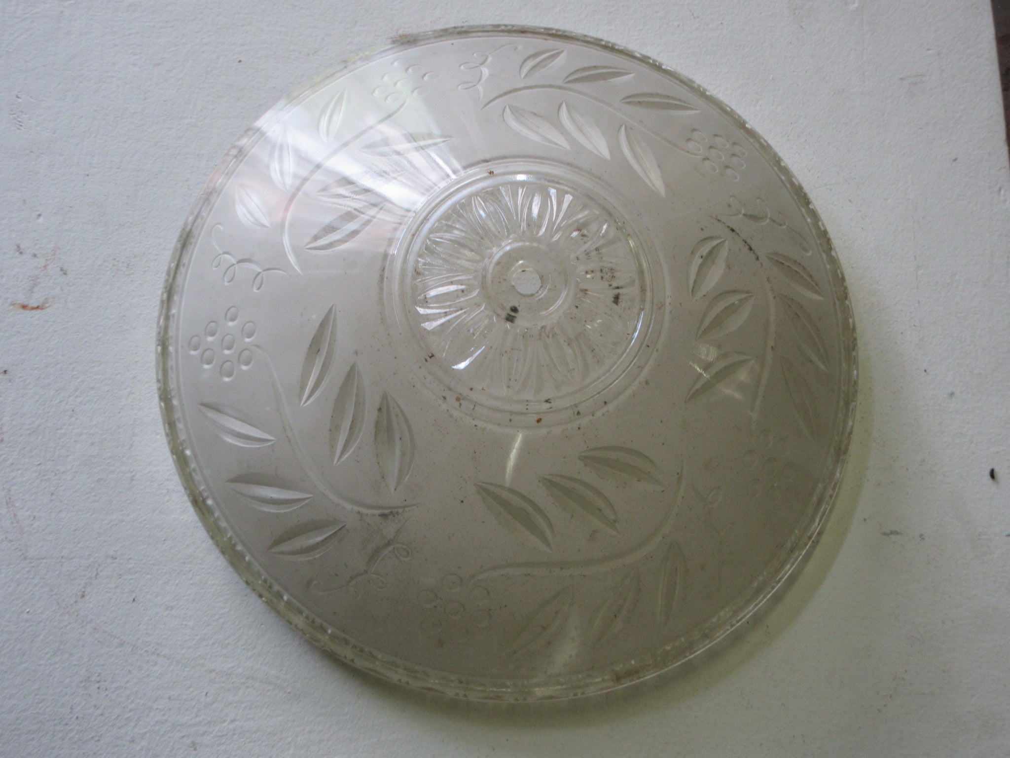 Etched Glass Vine Lighting Shade