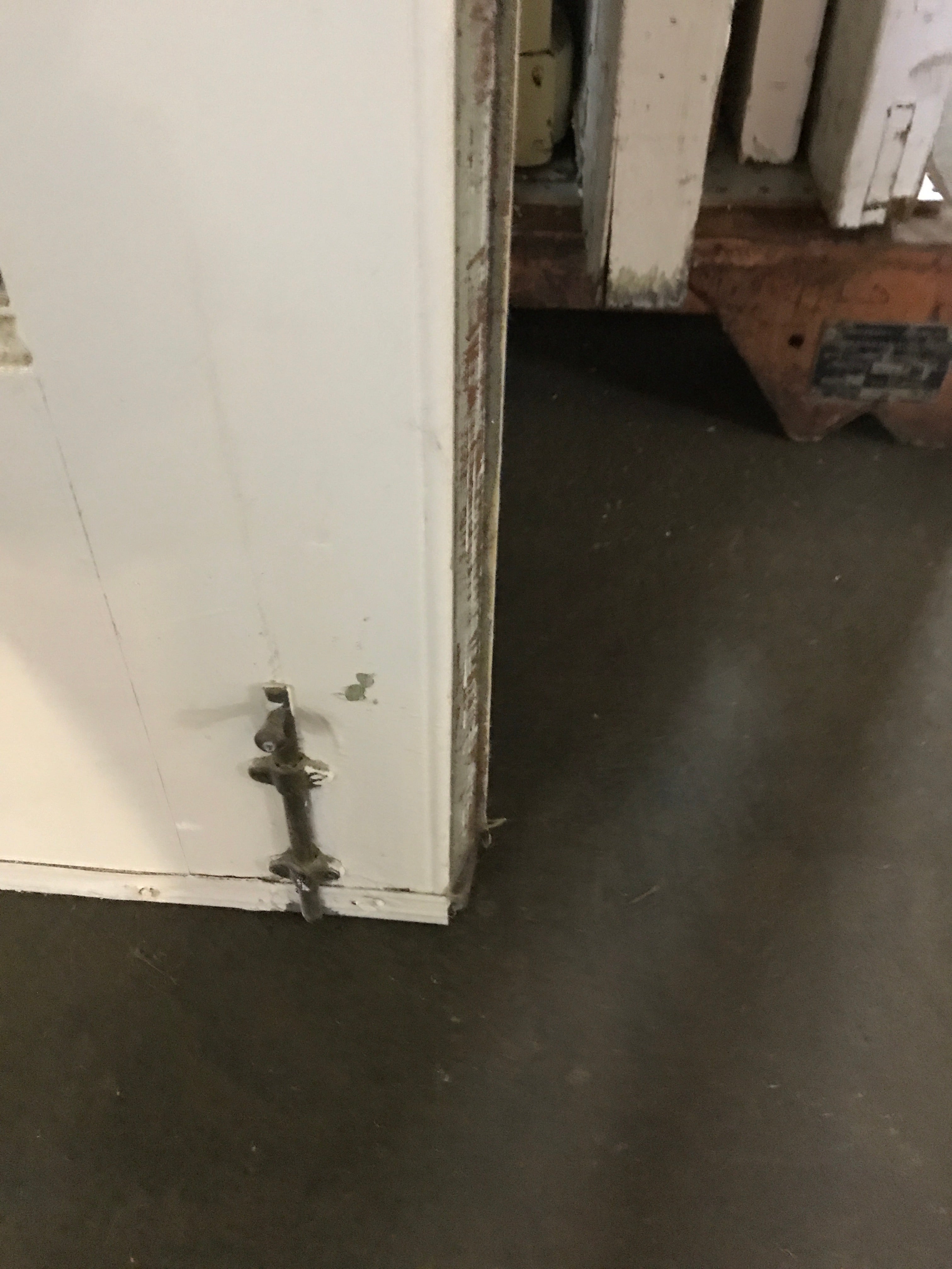 Set of French Doors with Brass Hardware -8 Lite Total 48"