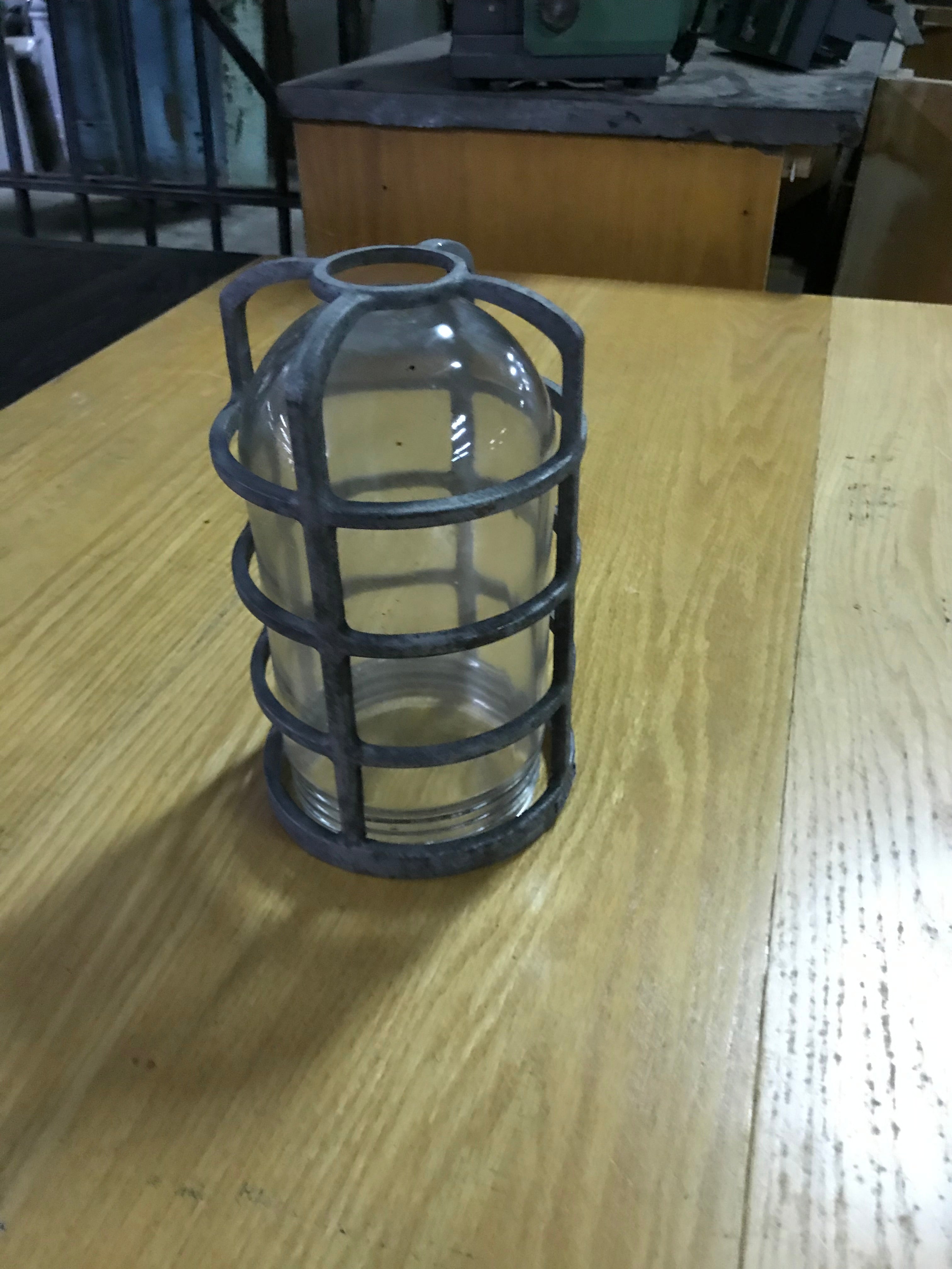 Glass Shade with Metal Cage Protector
