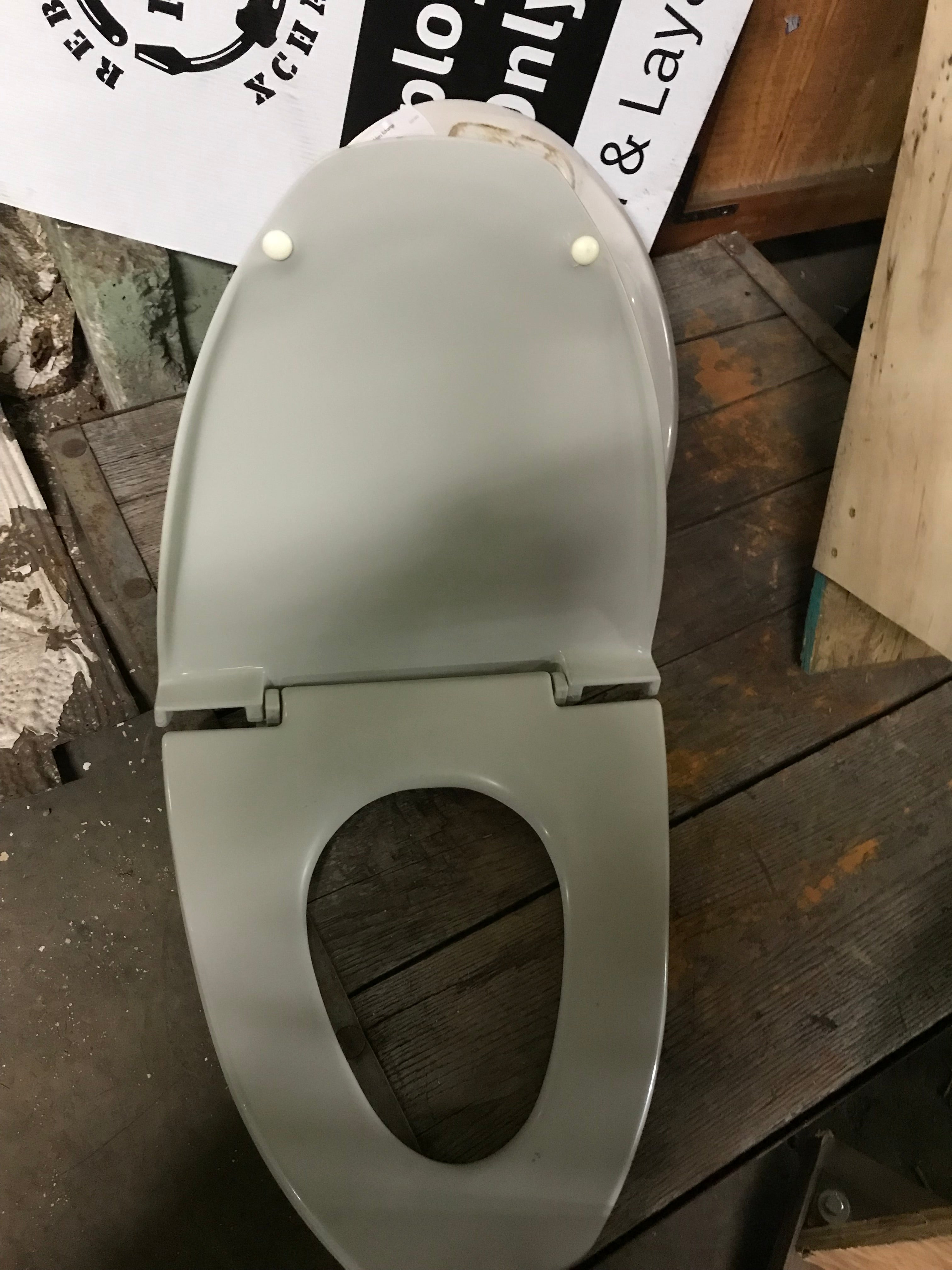 Pale Gray Toilet Seat and Lid for Elongated Toilet