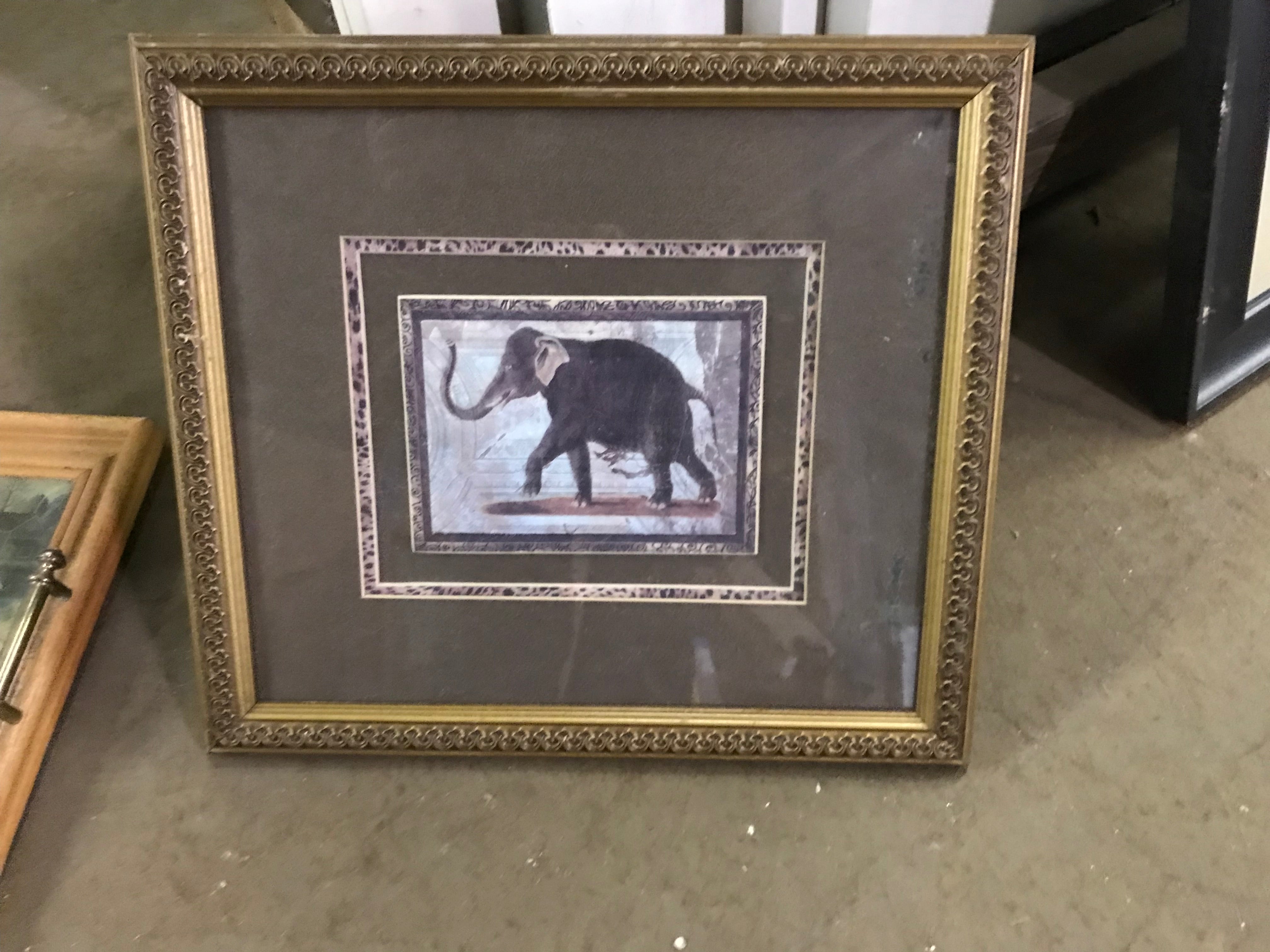 Wall Art- Elephant Photo