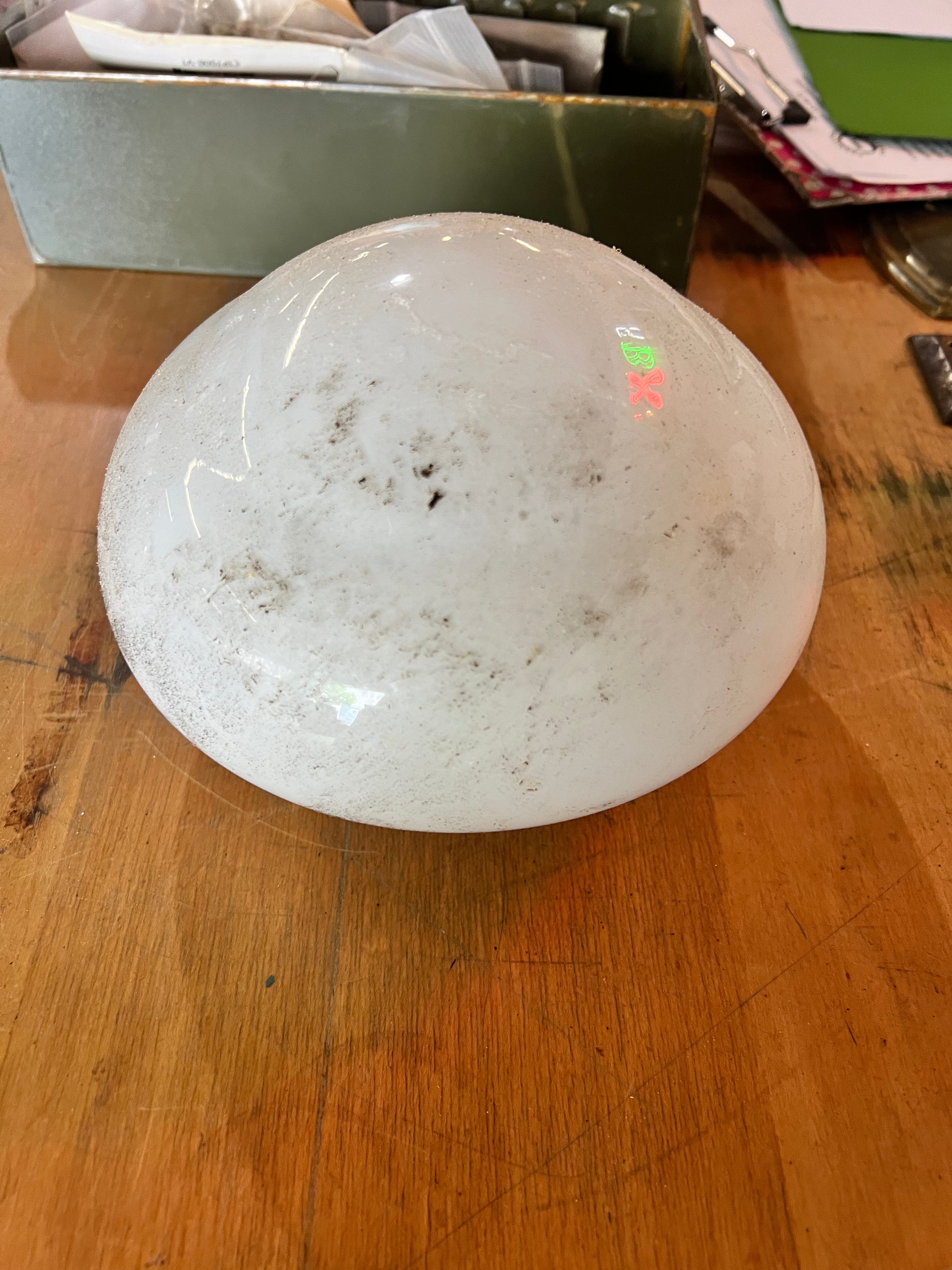 Glass light globe