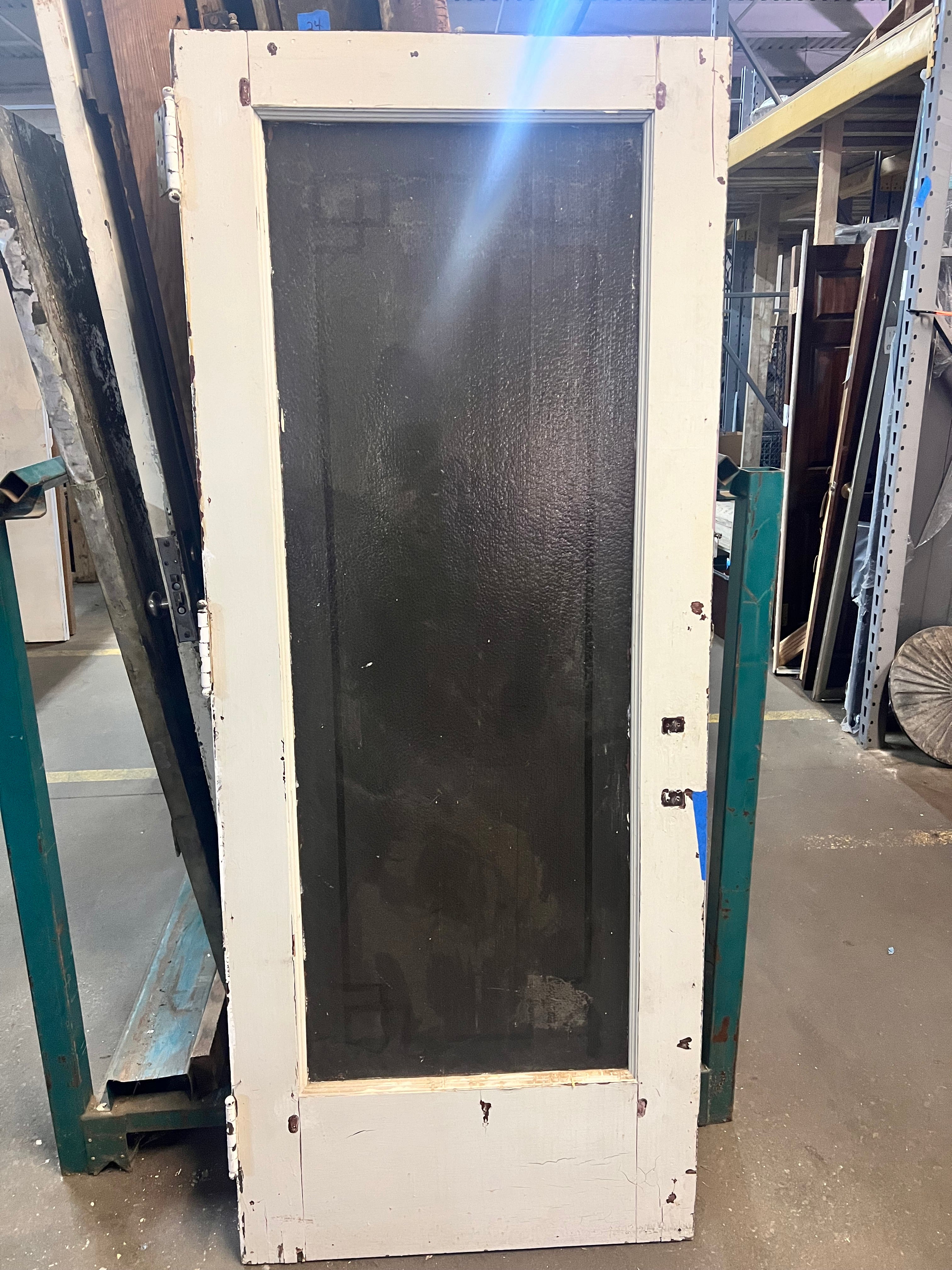 1 Panel Painted Door