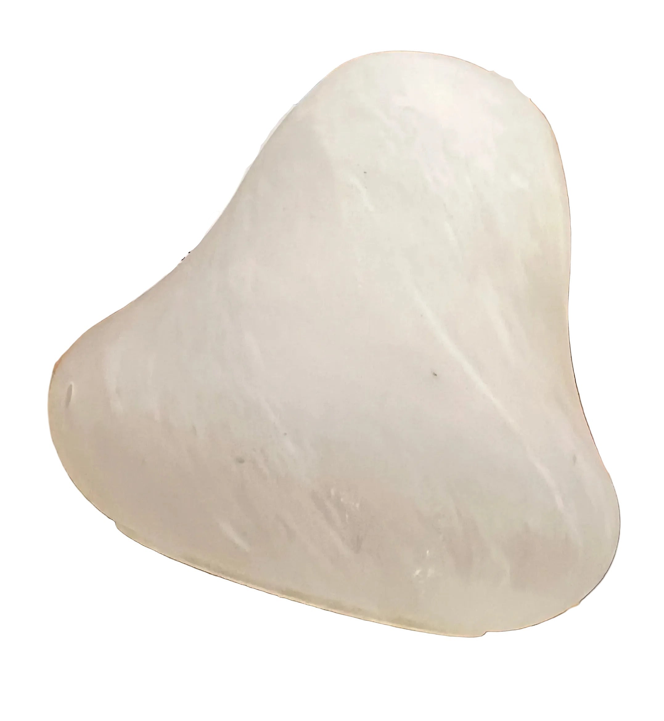 Frosted Bell-Shaped Glass Light Shade – 8" Diameter x 14" H