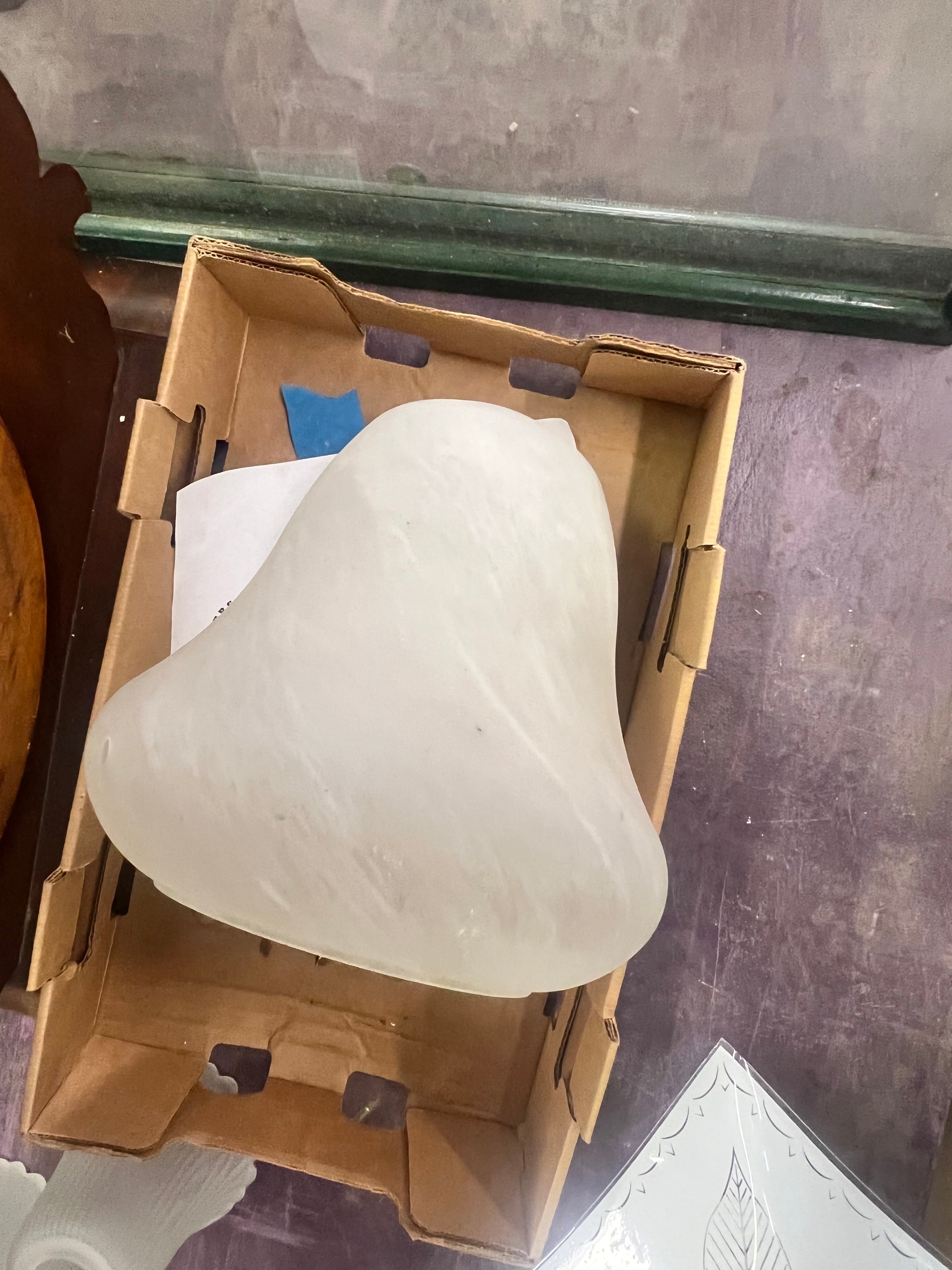 Frosted glass chandelier shade