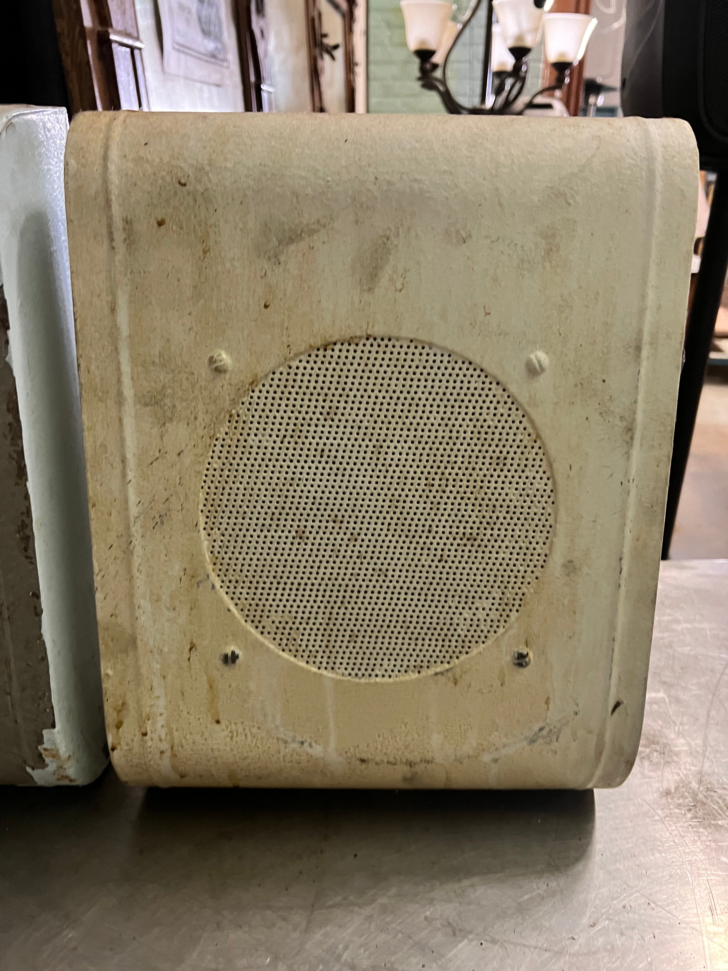 Painted Speaker