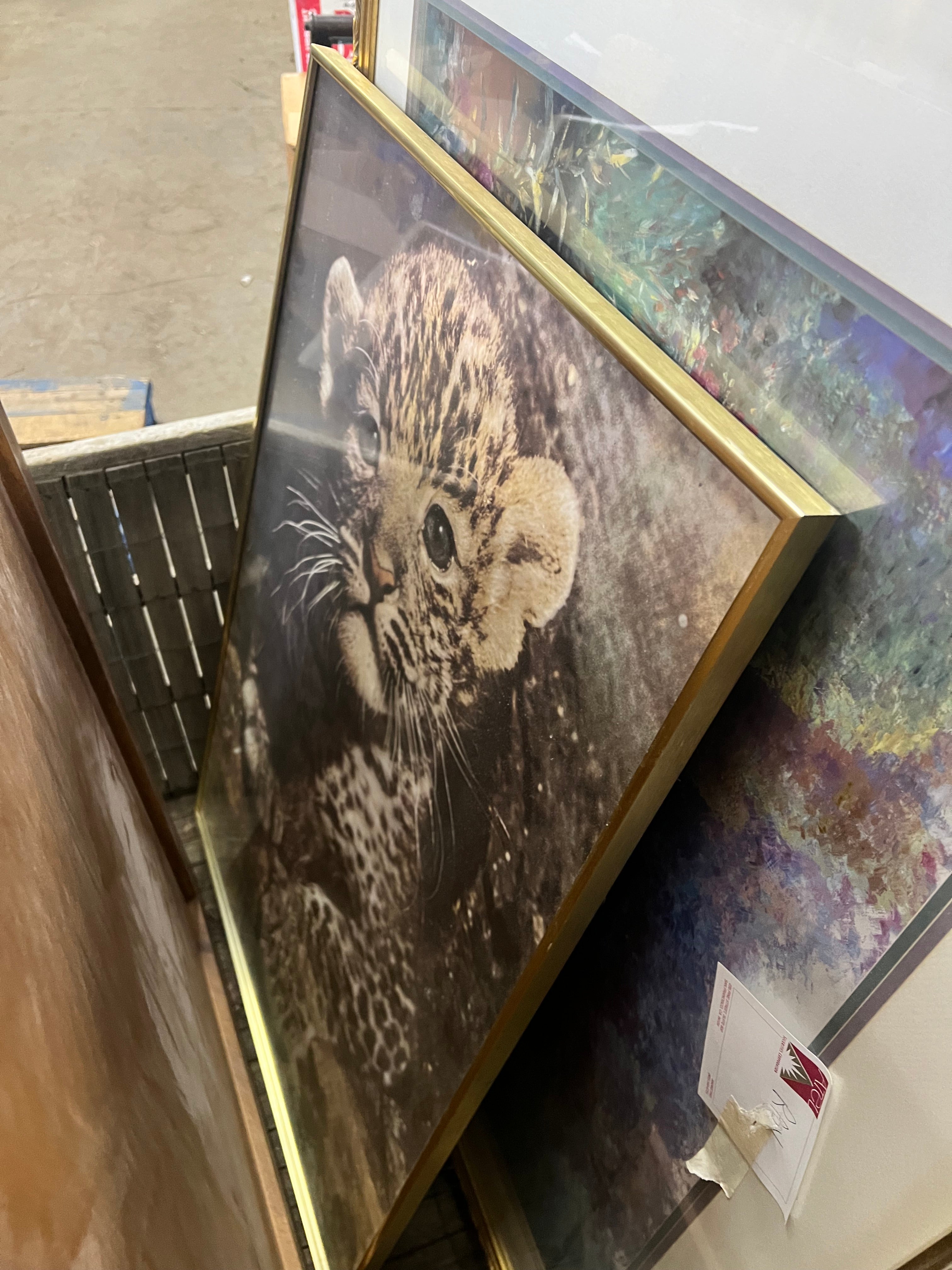 Framed animal painting