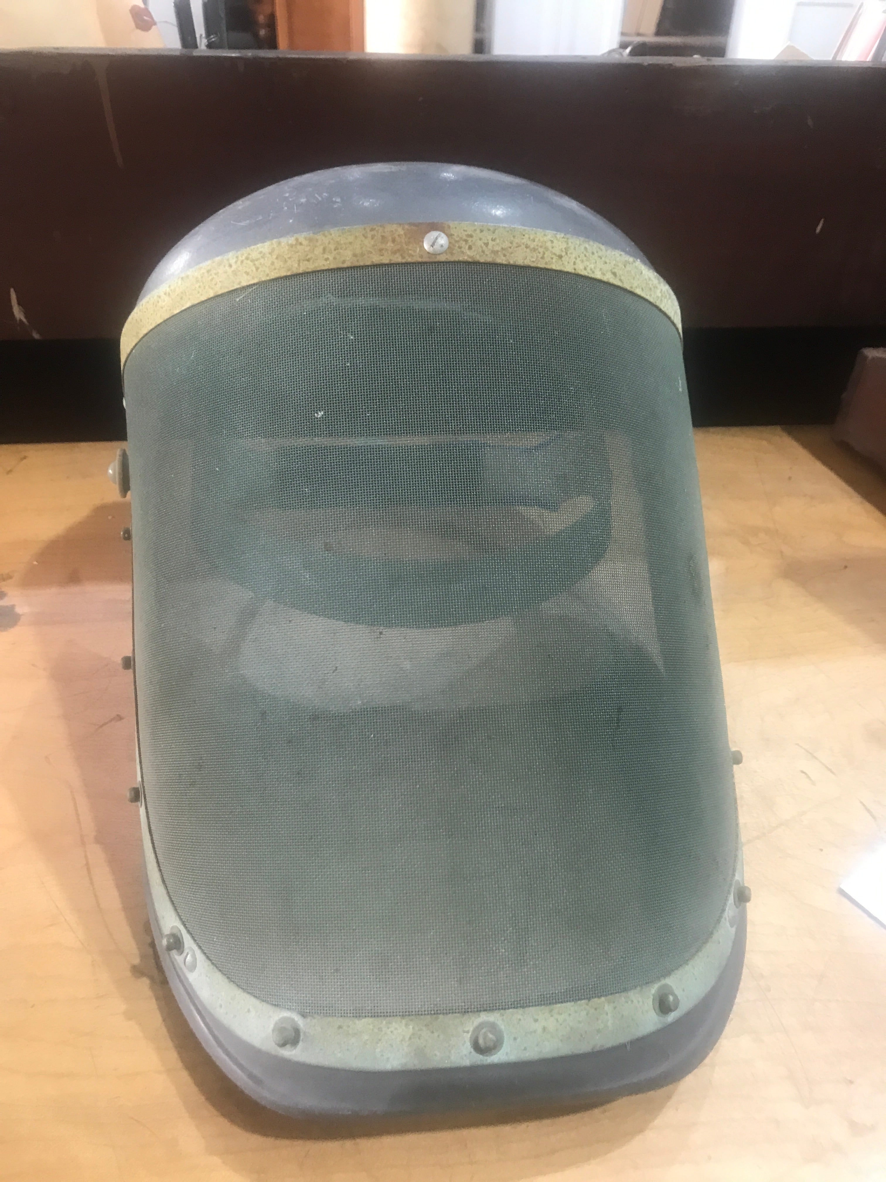Mesh Face Shield