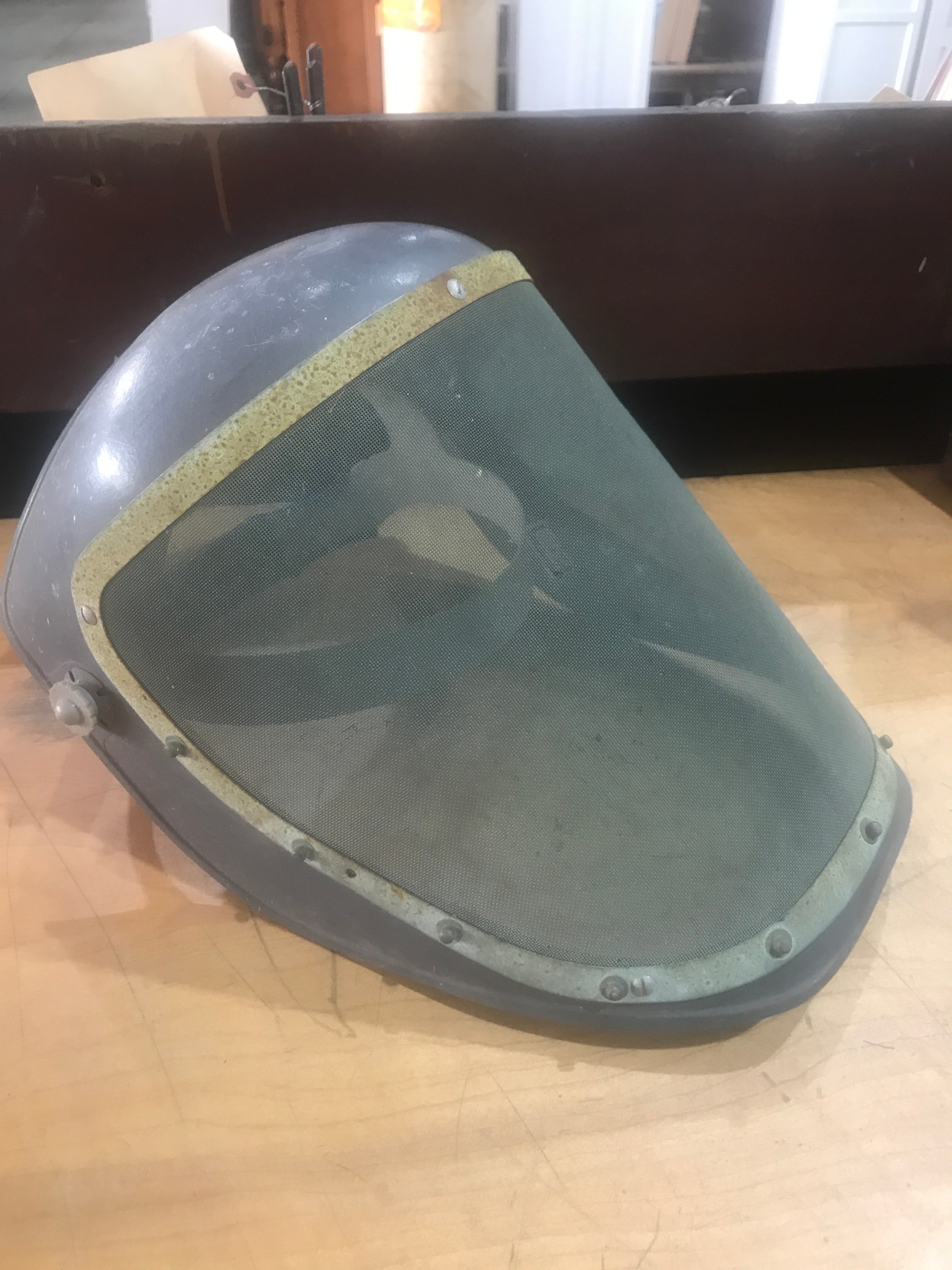 Mesh Face Shield