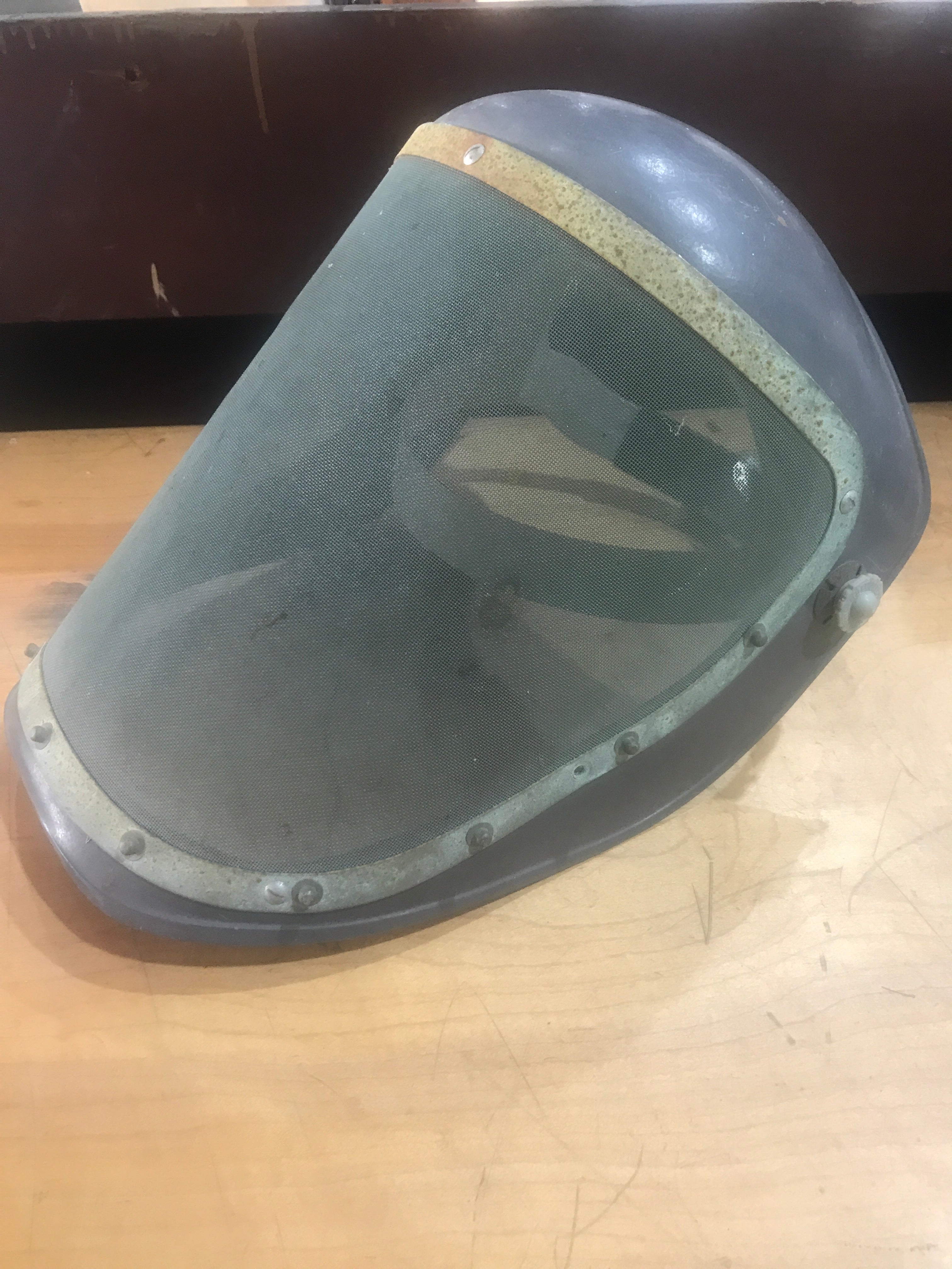 Mesh Face Shield