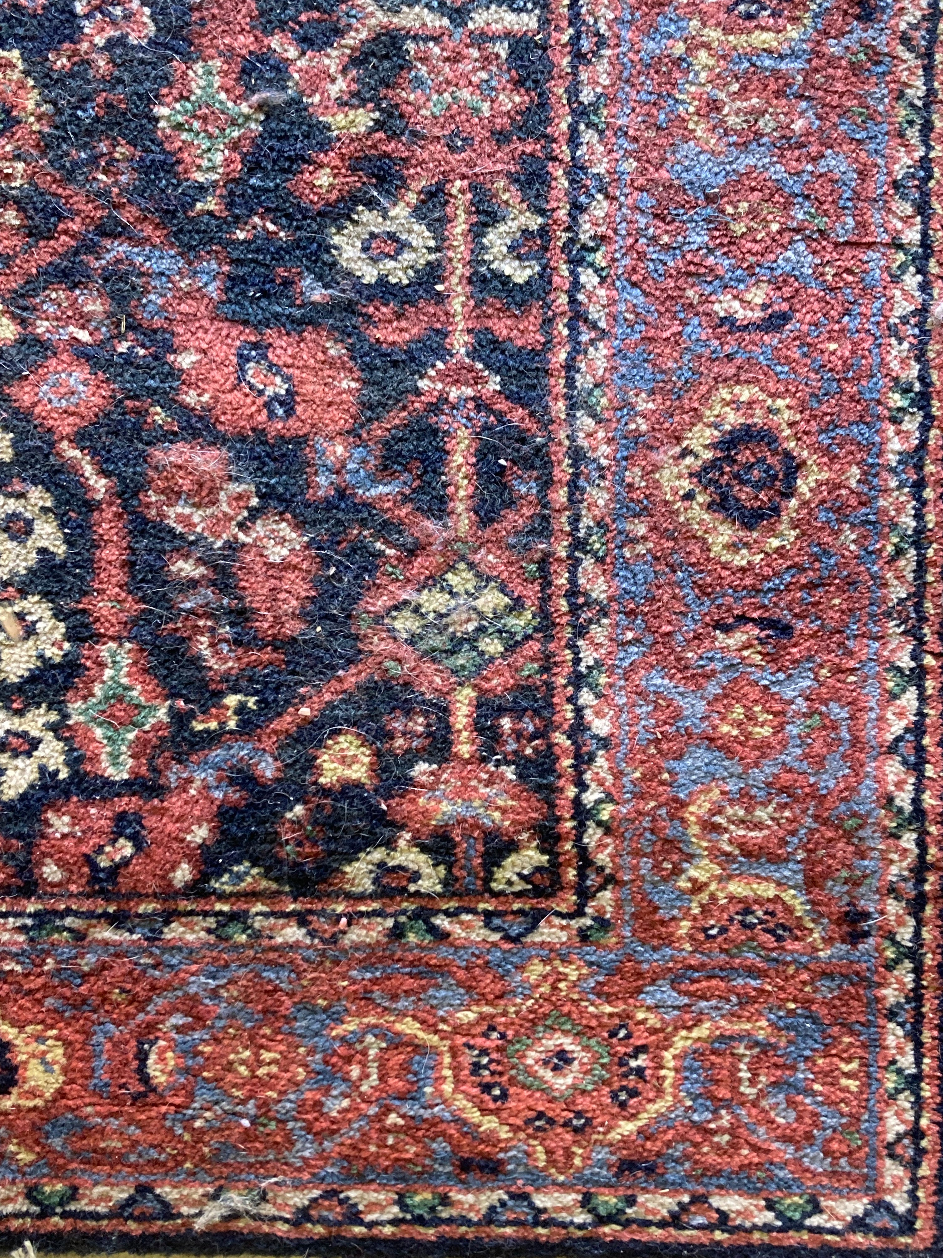 Carters Grove #554 Runner Rug