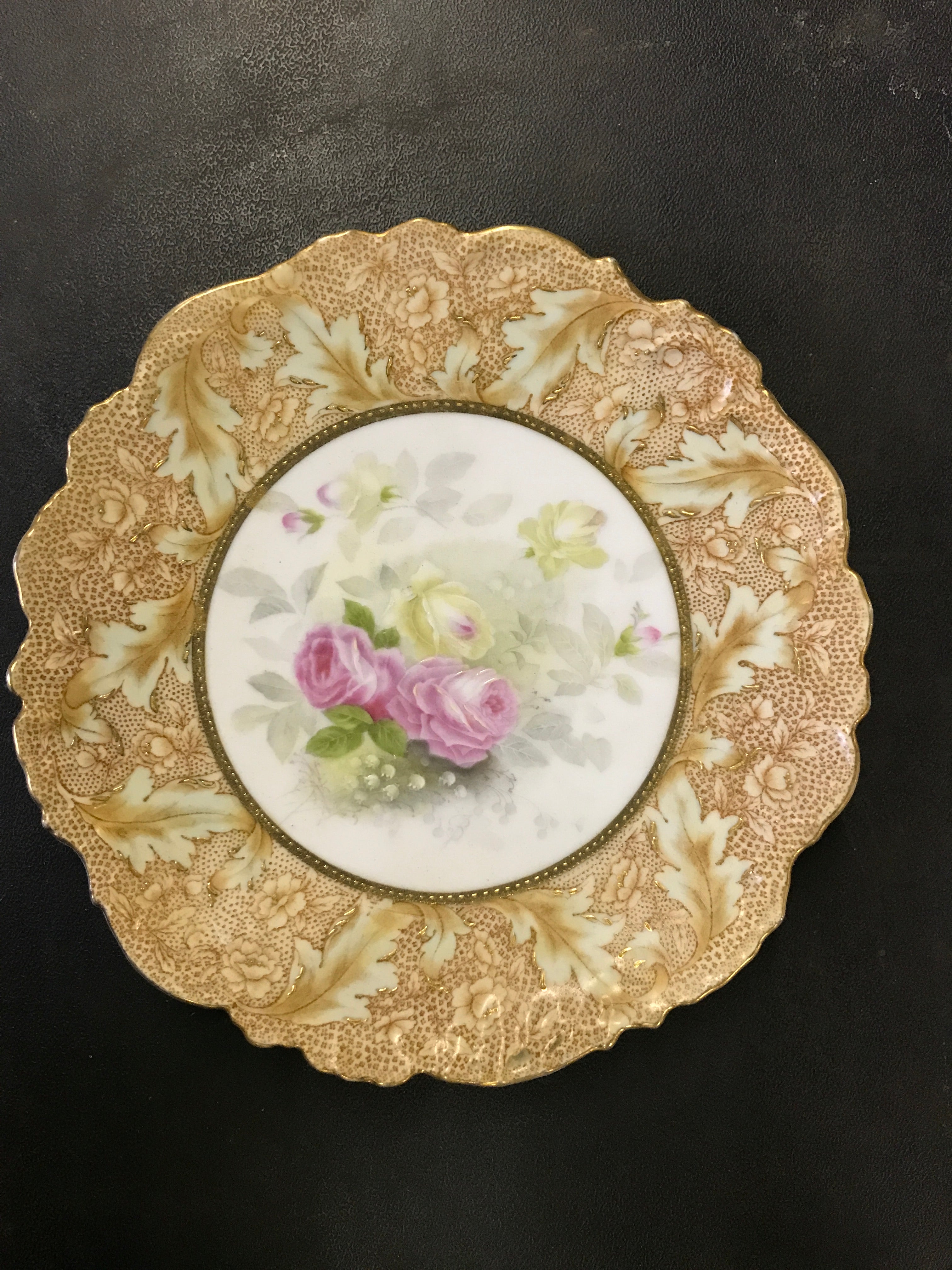 Royal Bavarian China Hand-Painted Plate