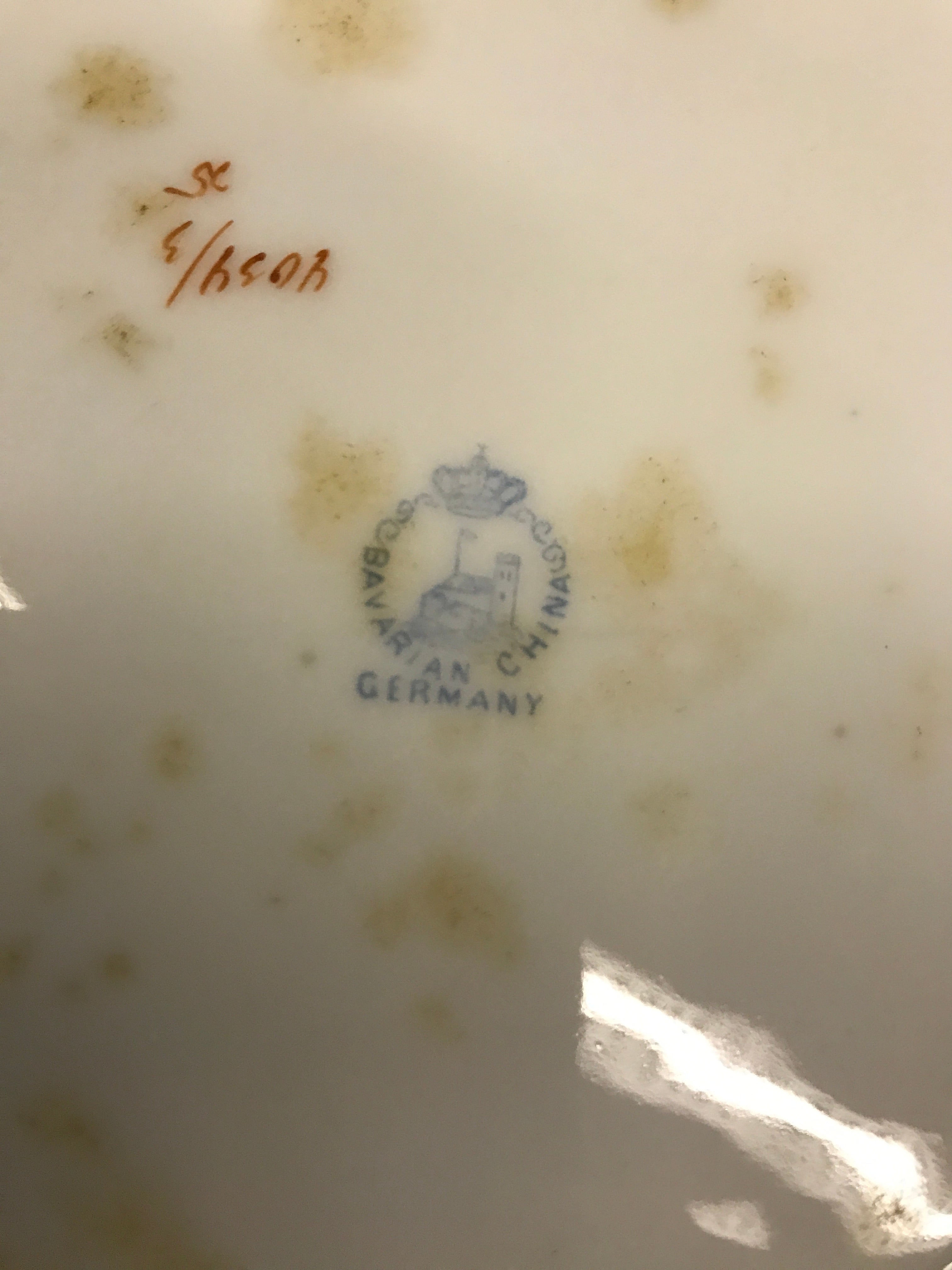 Royal Bavarian China Hand-Painted Plate