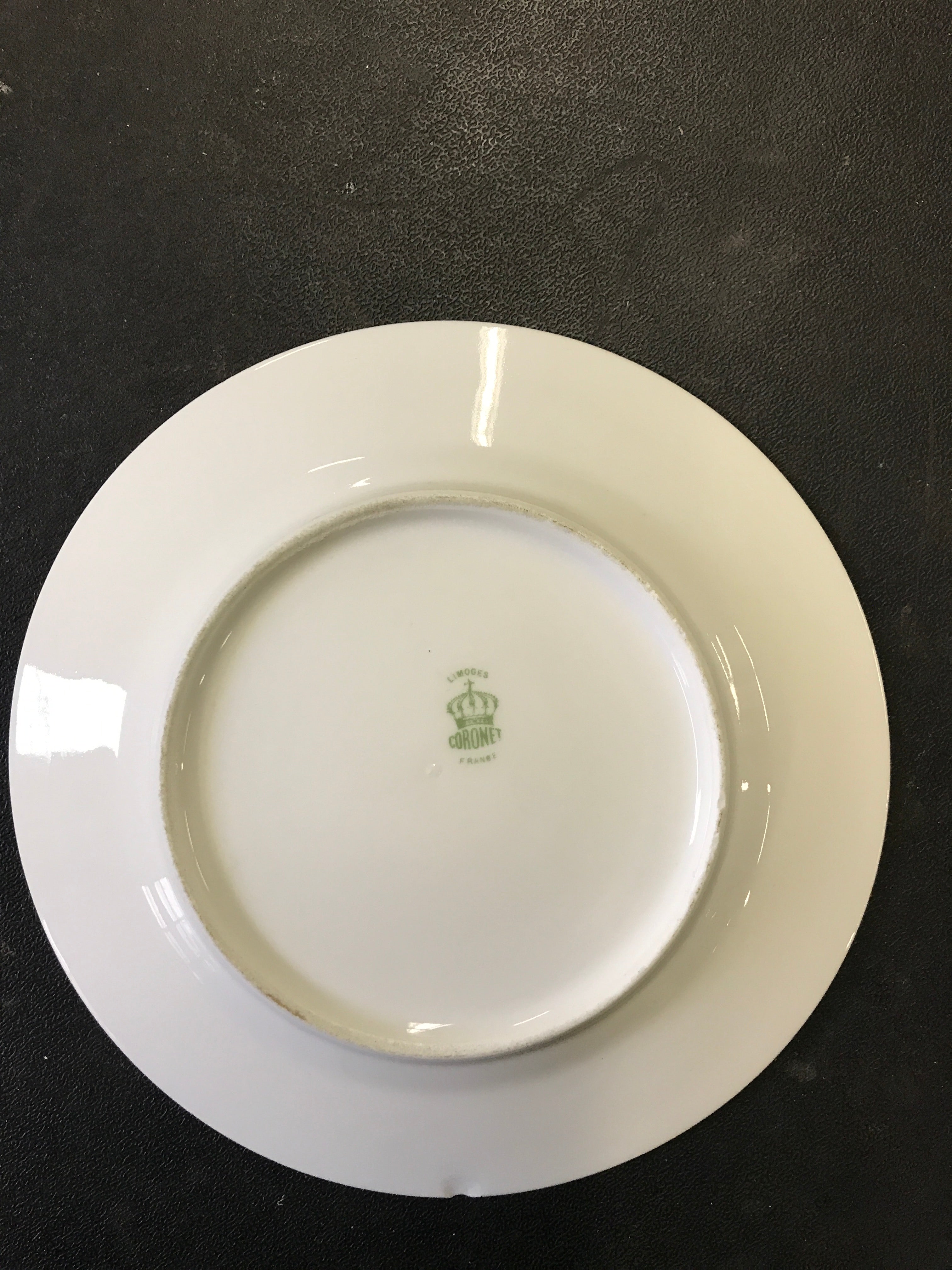 Antique Limonges Coronet Hand-Painted Flower Plate Set of 10