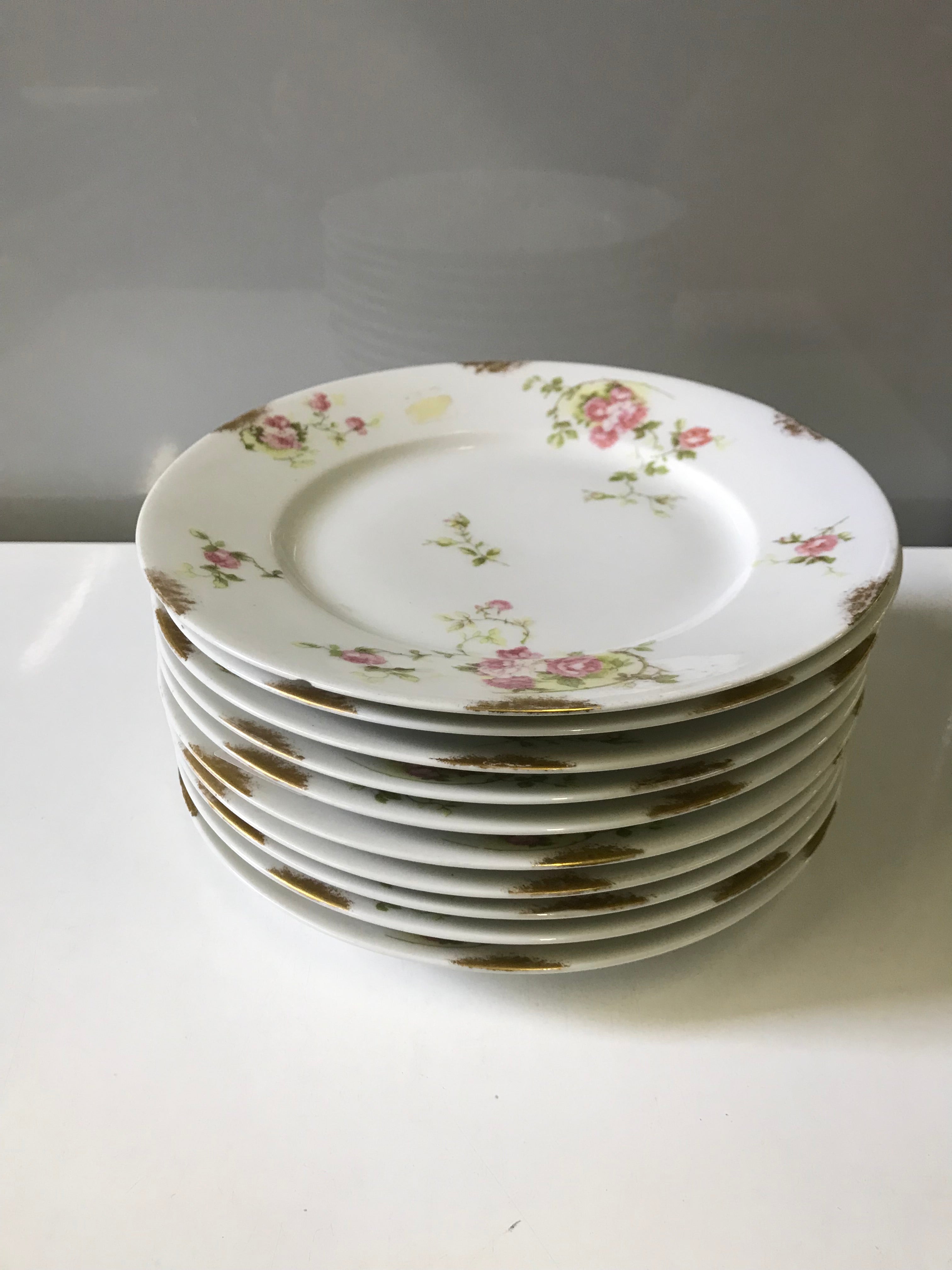 Antique Limonges Coronet Hand-Painted Flower Plate Set of 10