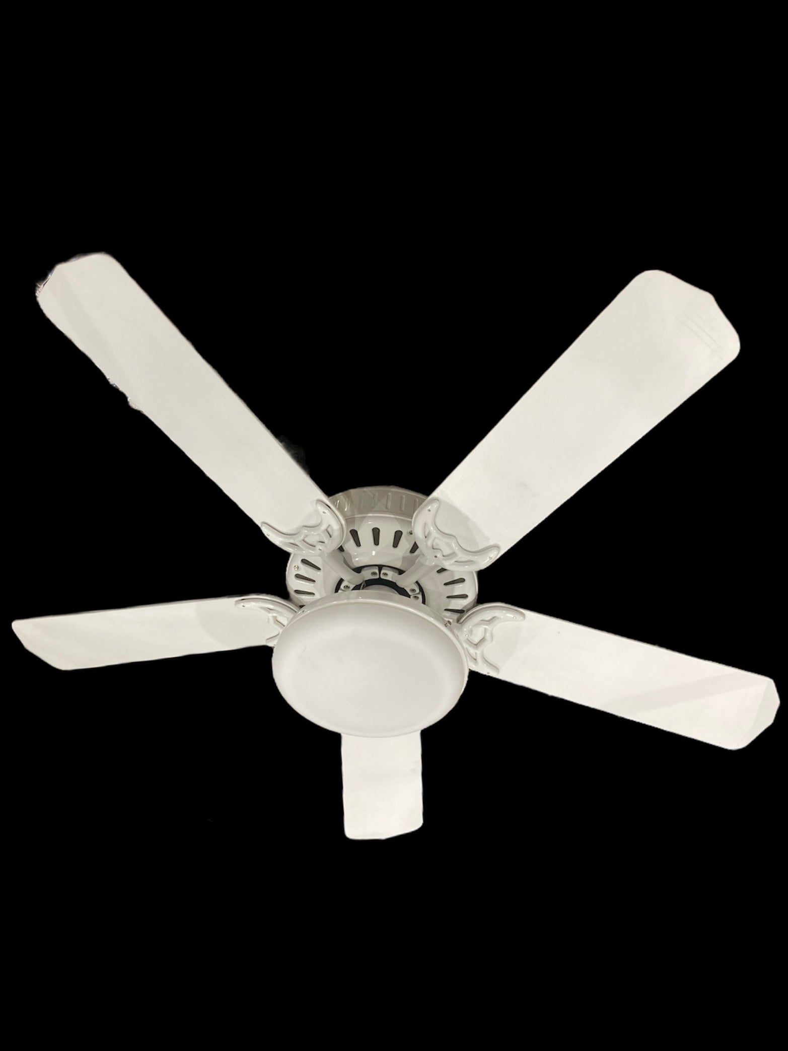 Ceiling Fan with Light