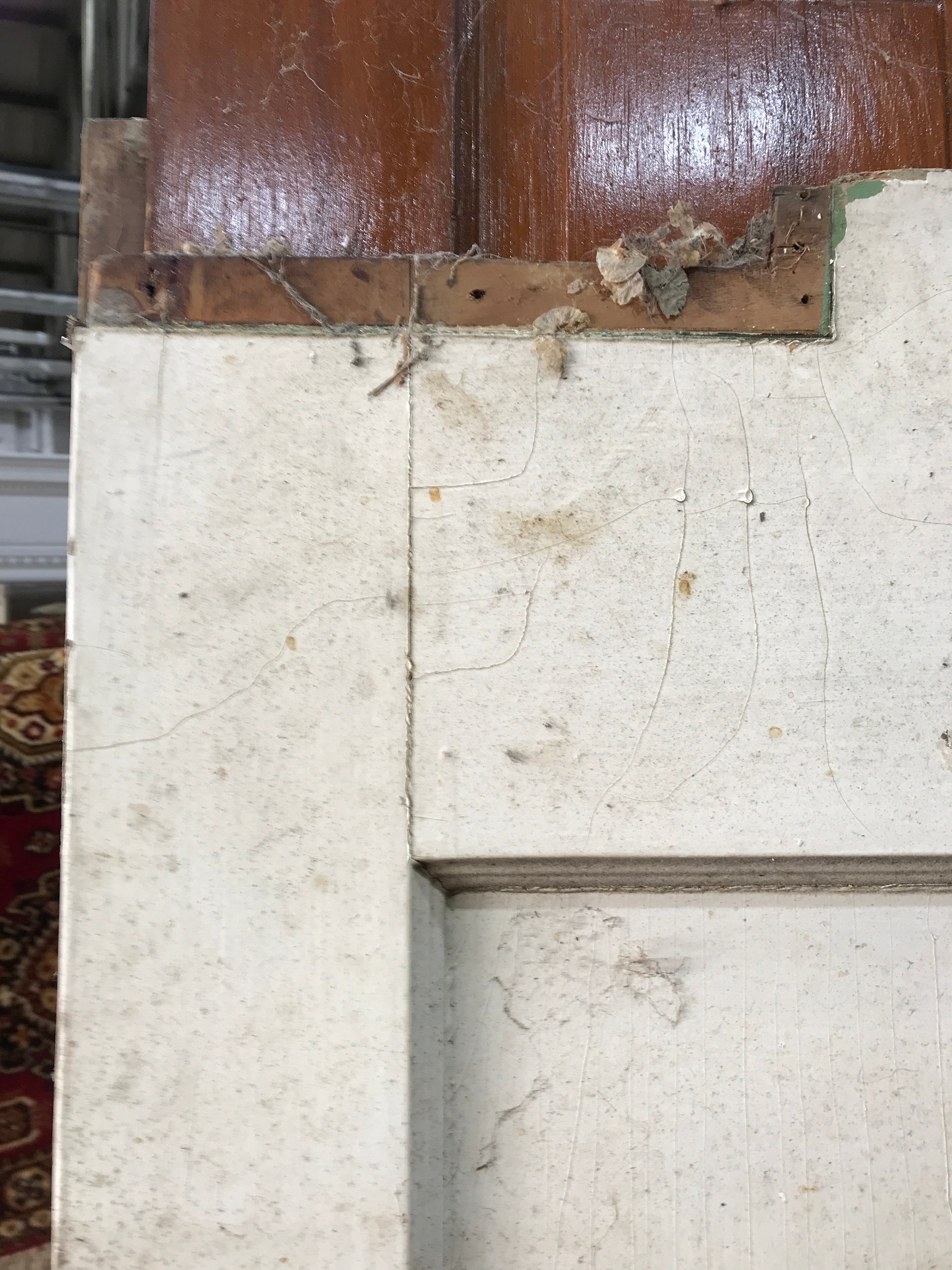 2 Panel Solid Wood Swing Door