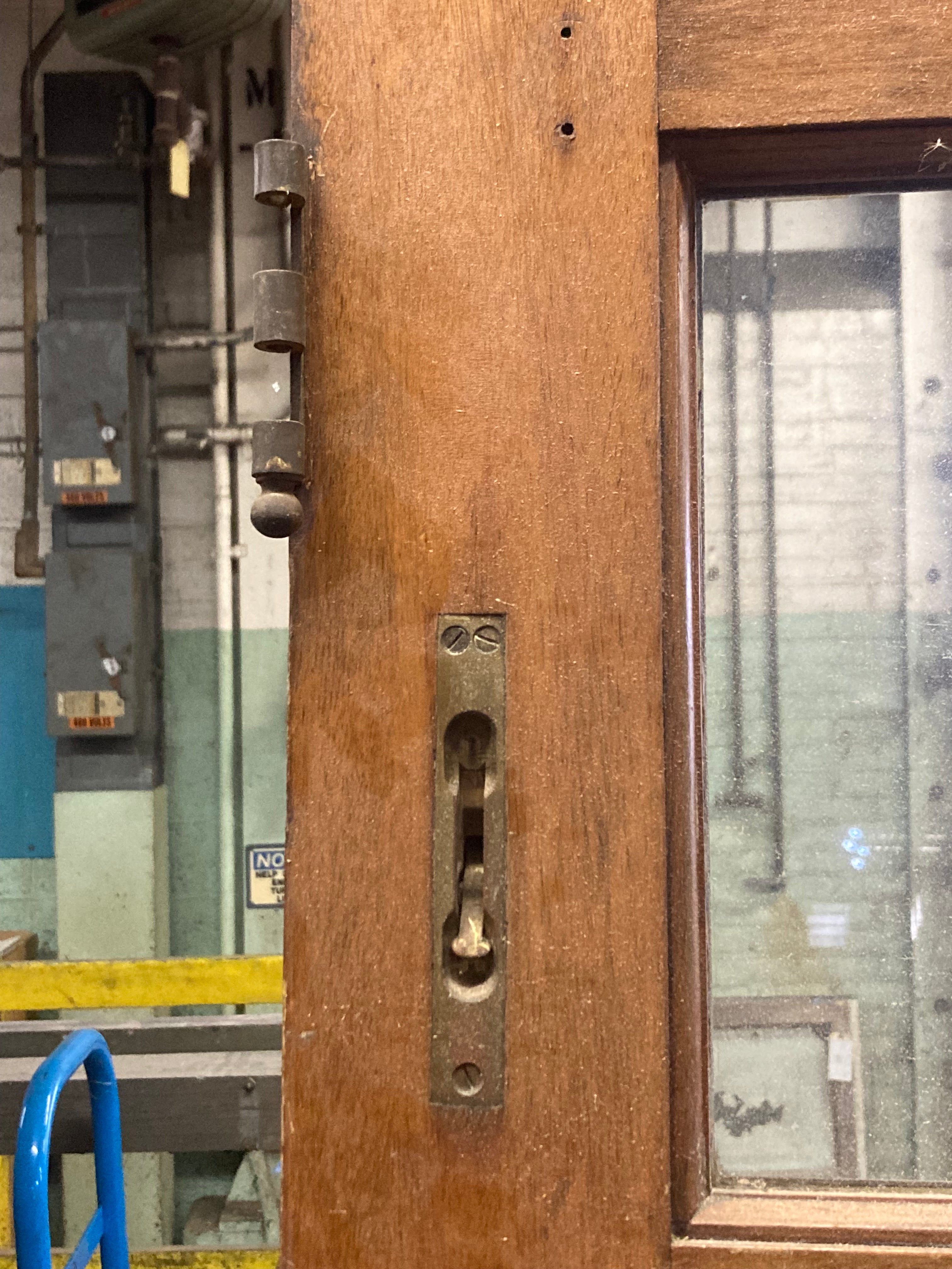 10-Lite Solid Wood Door