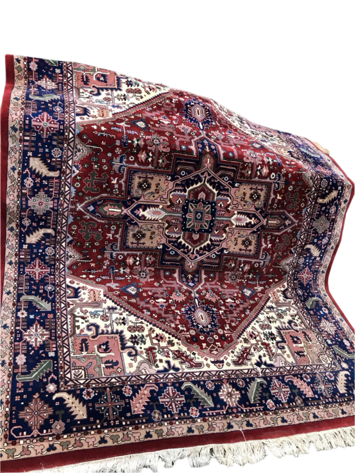 Persian Style Wool Area Rug