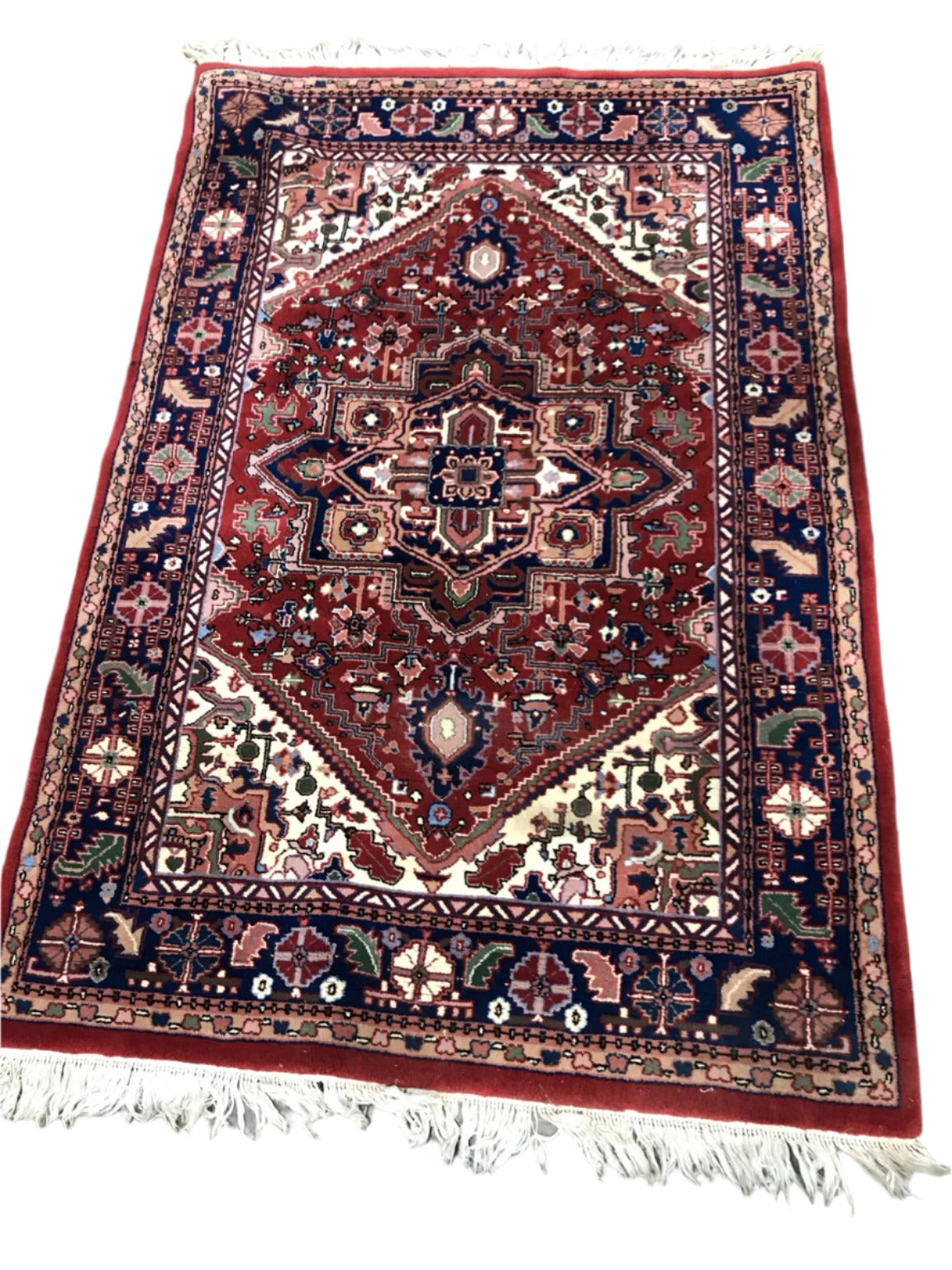 Persian Style Wool Area Rug