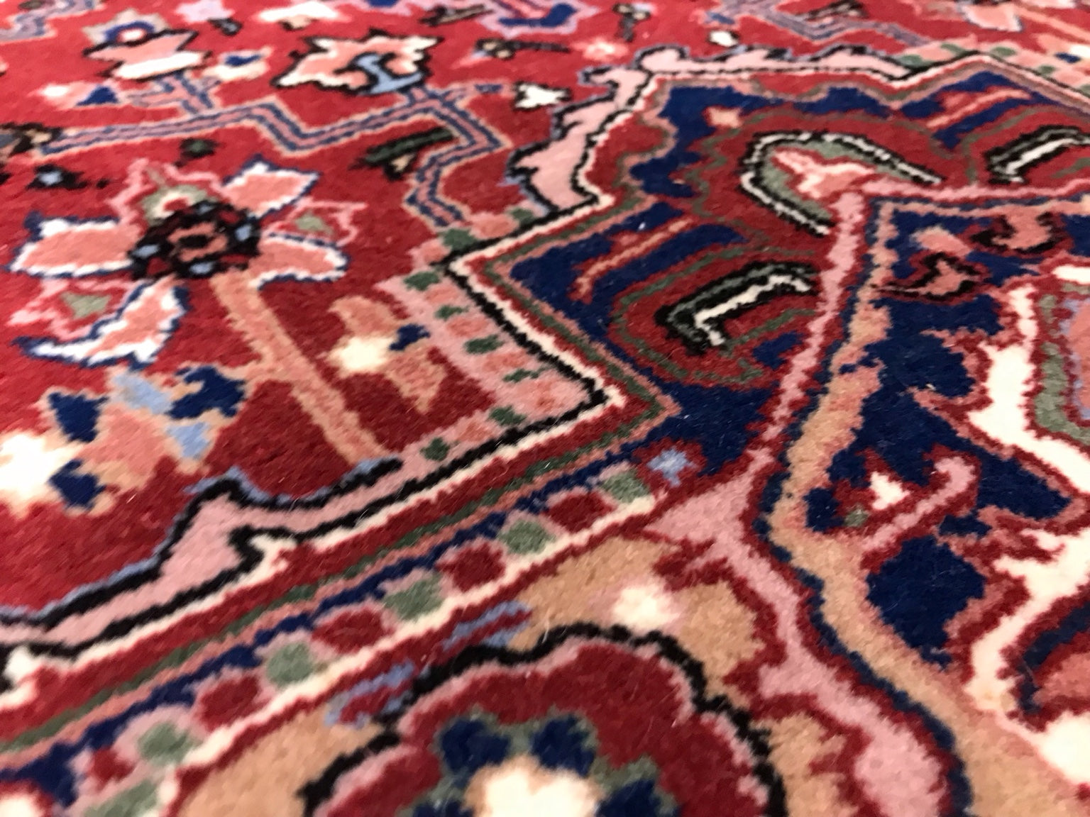 Persian Style Wool Area Rug
