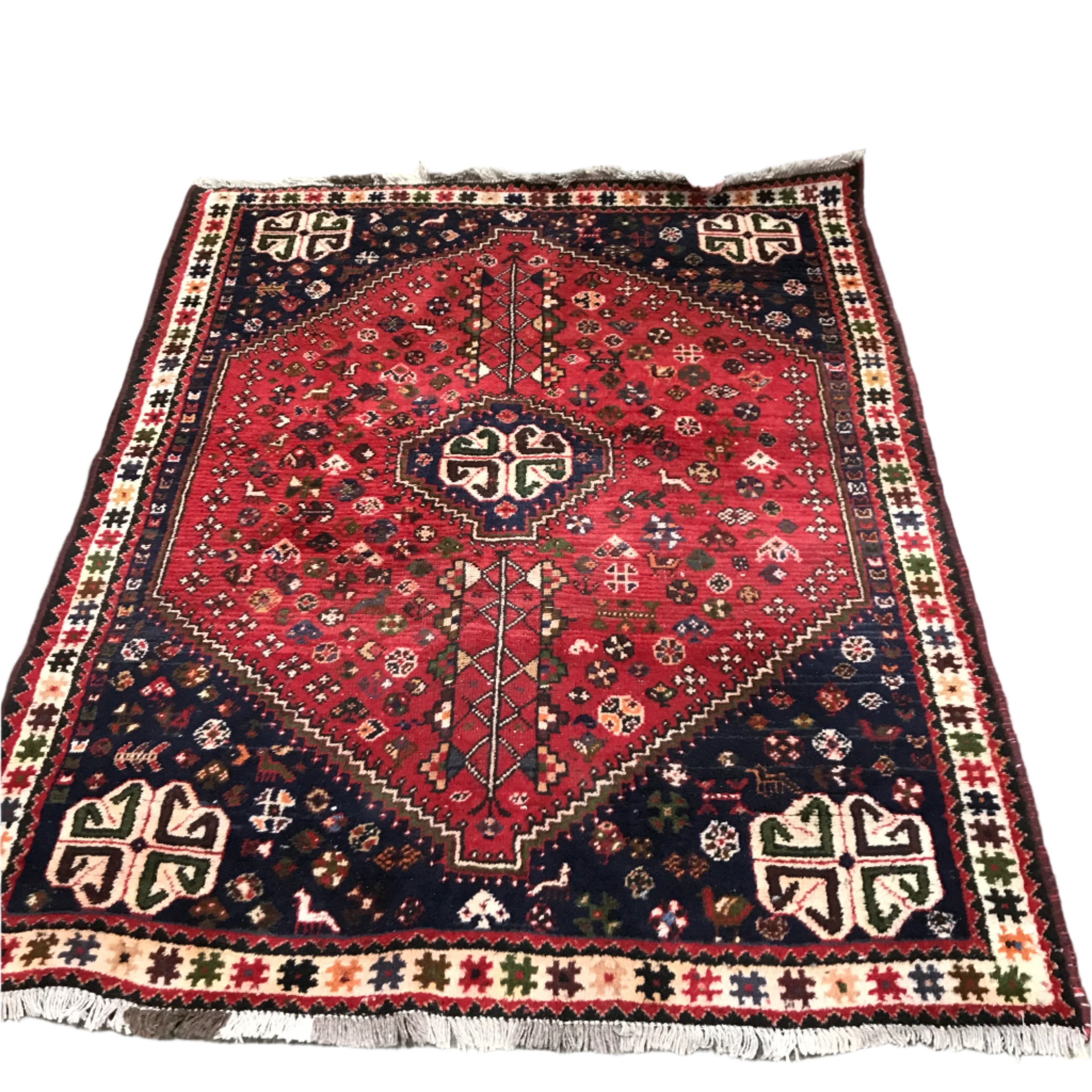 Persian Style Wool Area Rug