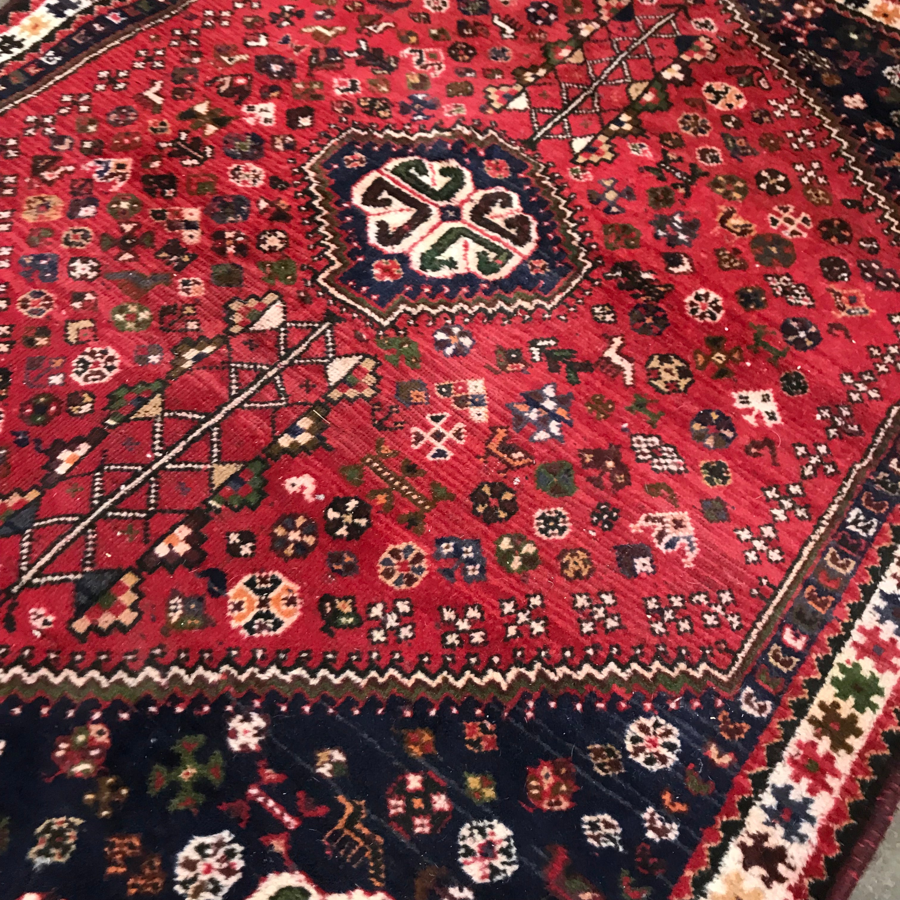 Persian Style Wool Area Rug
