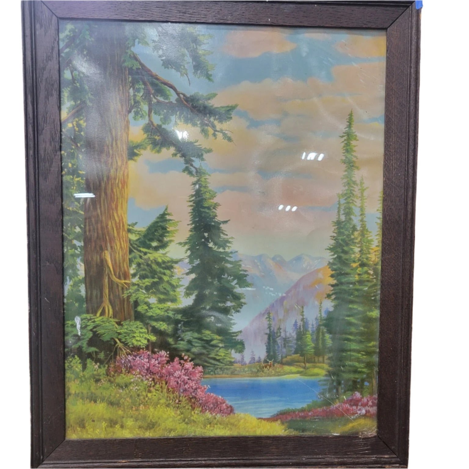 Framed Landscape Painting
