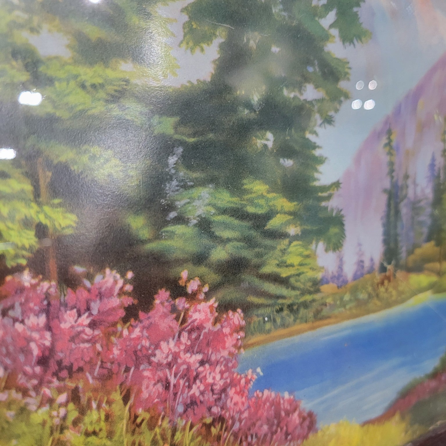Framed Landscape Painting