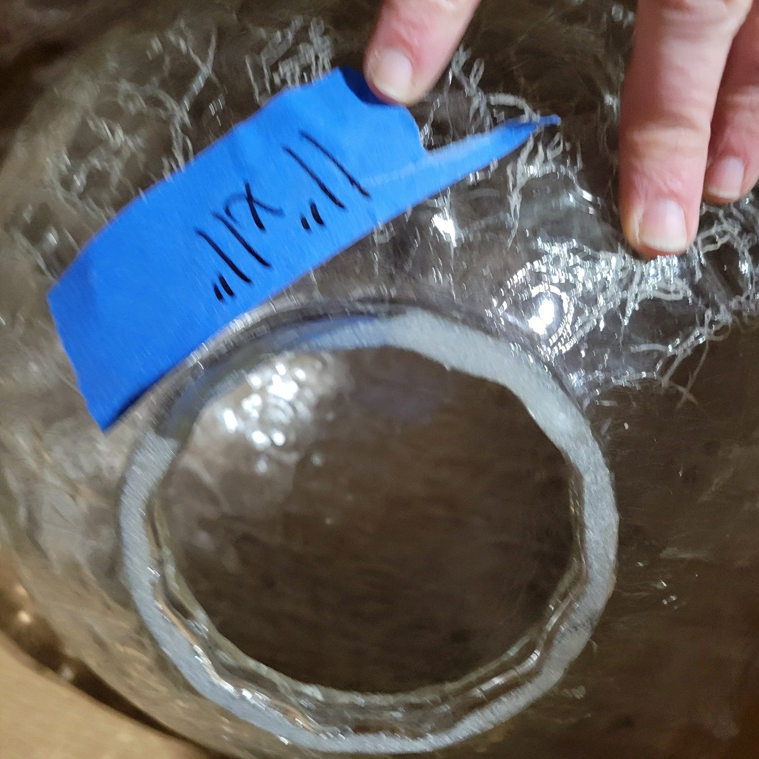 Vintage Crackle Glass Globe Light Shade
