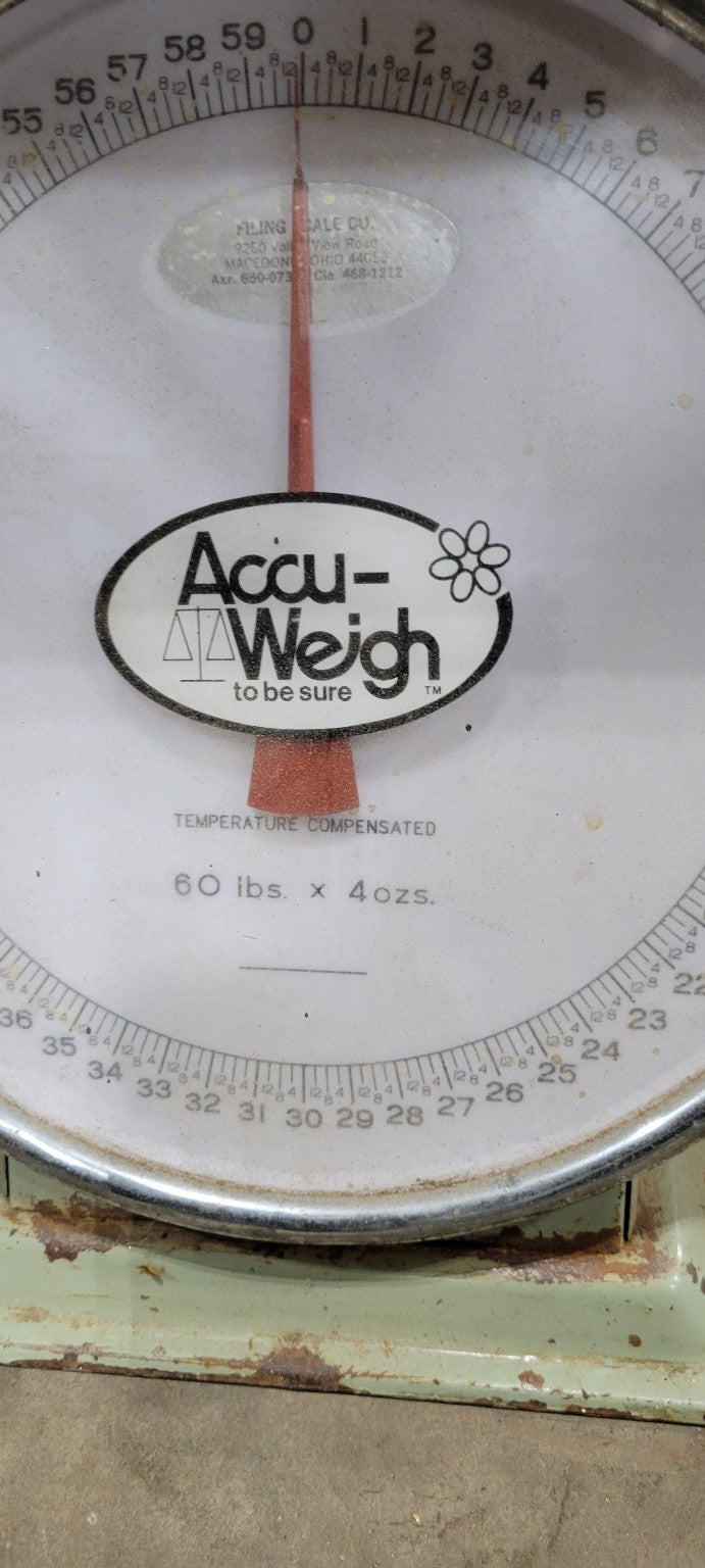 Accu-Weigh Industrial Scale