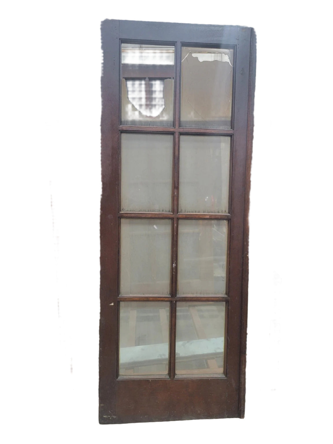 Vintage 10-Lite Door with Astragal – 30" x 79 ½" (E)