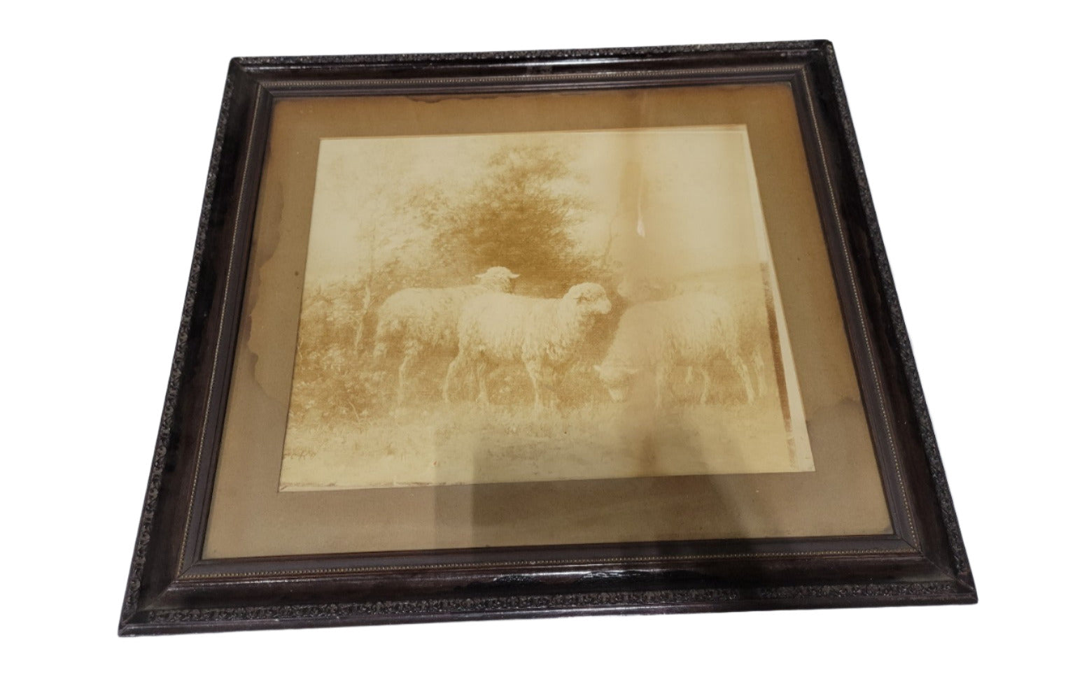 Antique Sepia Photograph of Grazing Sheep in Ornate Wood Frame