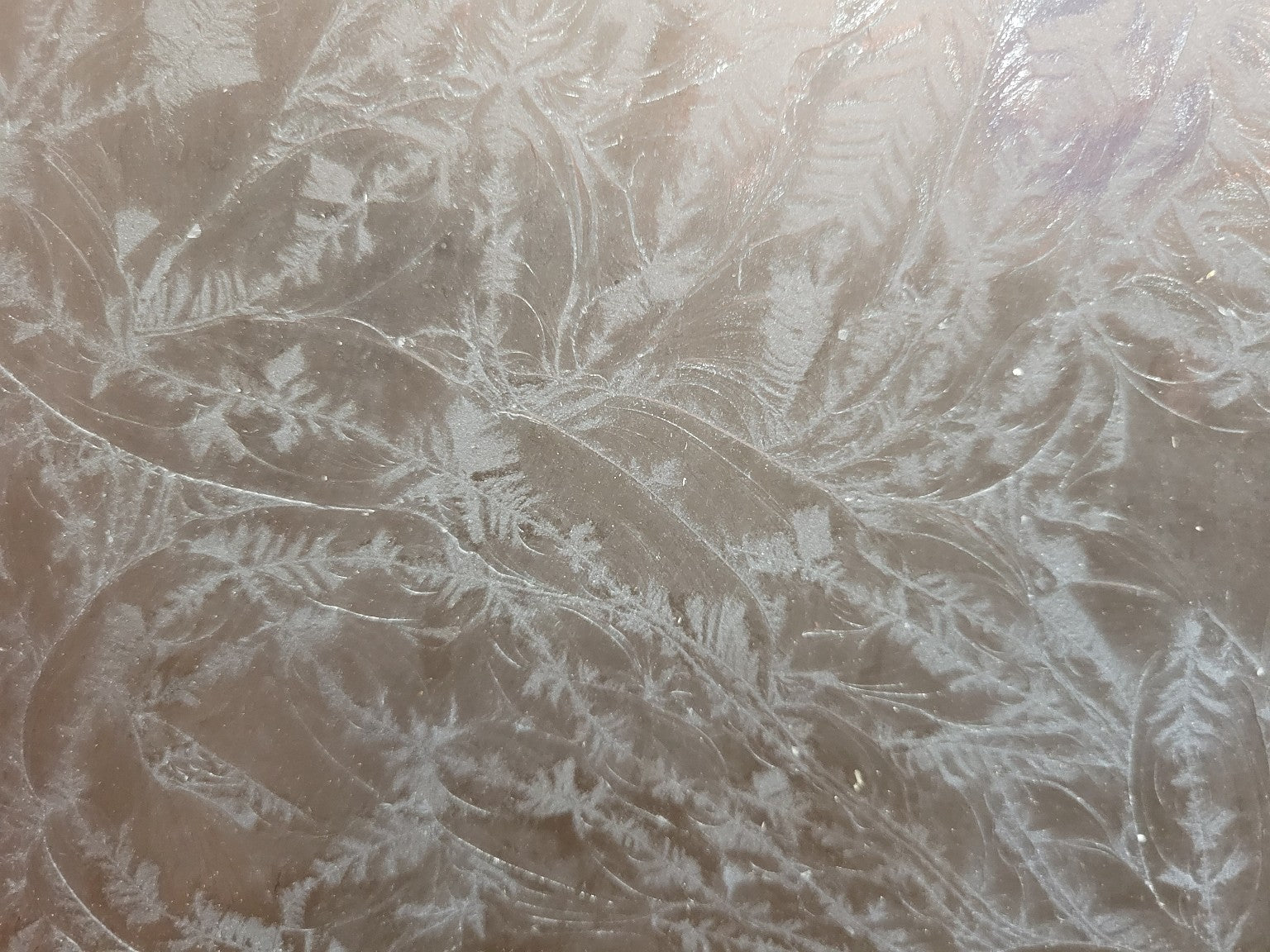 Frosted Fern Pattern Privacy Glass Window Sash – Distressed White Frame