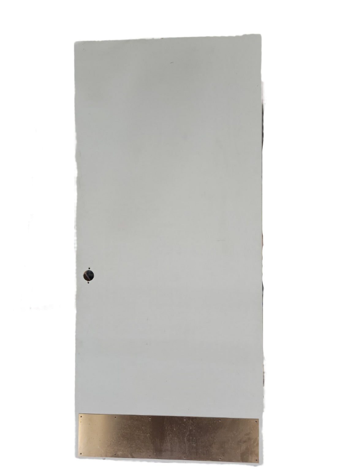 Solid Commercial Door with Brass Push Plate – 36" W x 80" T (OO)