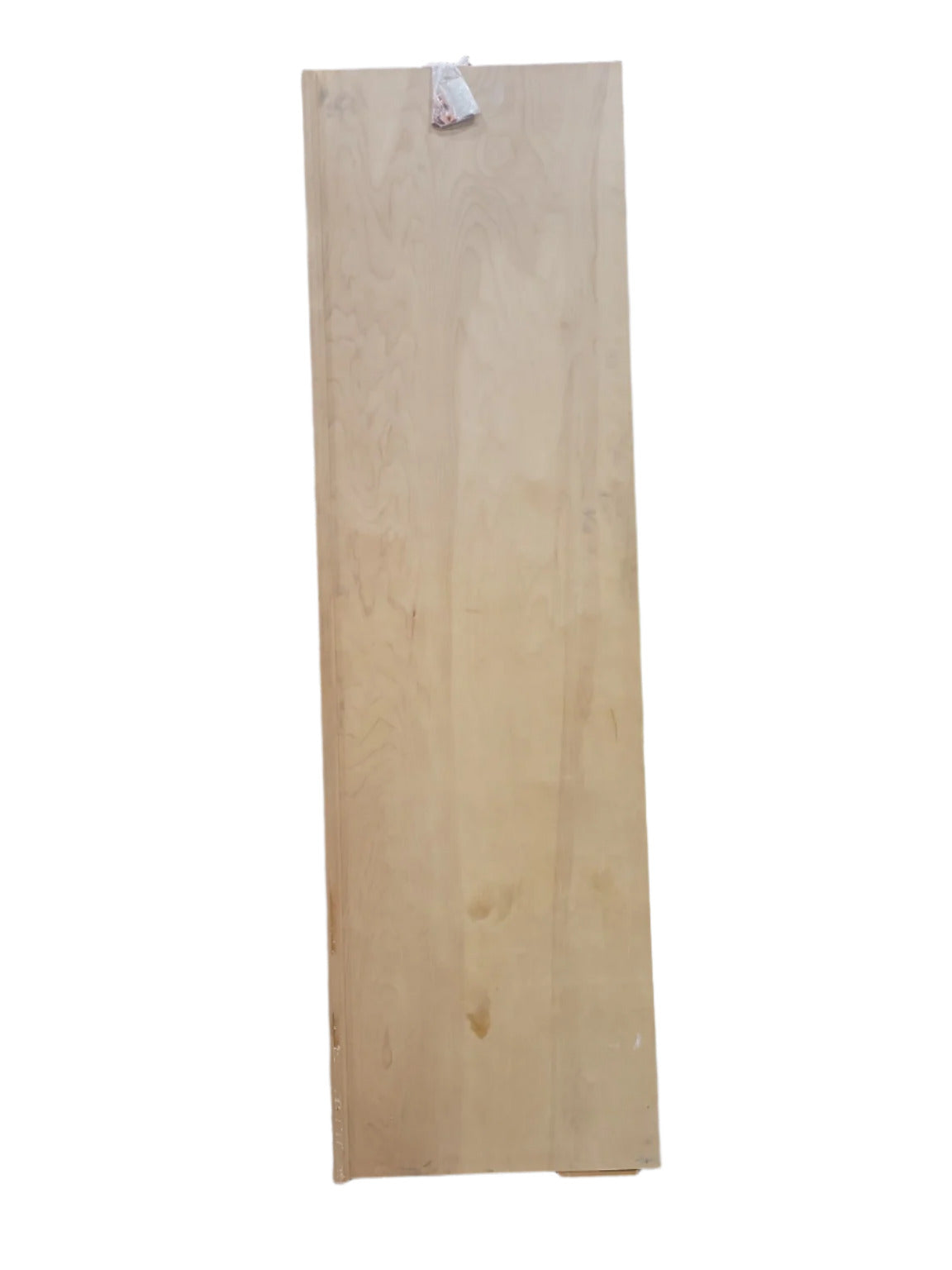 Flush Unfinished Birch Door with Astragal – 24" W x 84" T (VV)