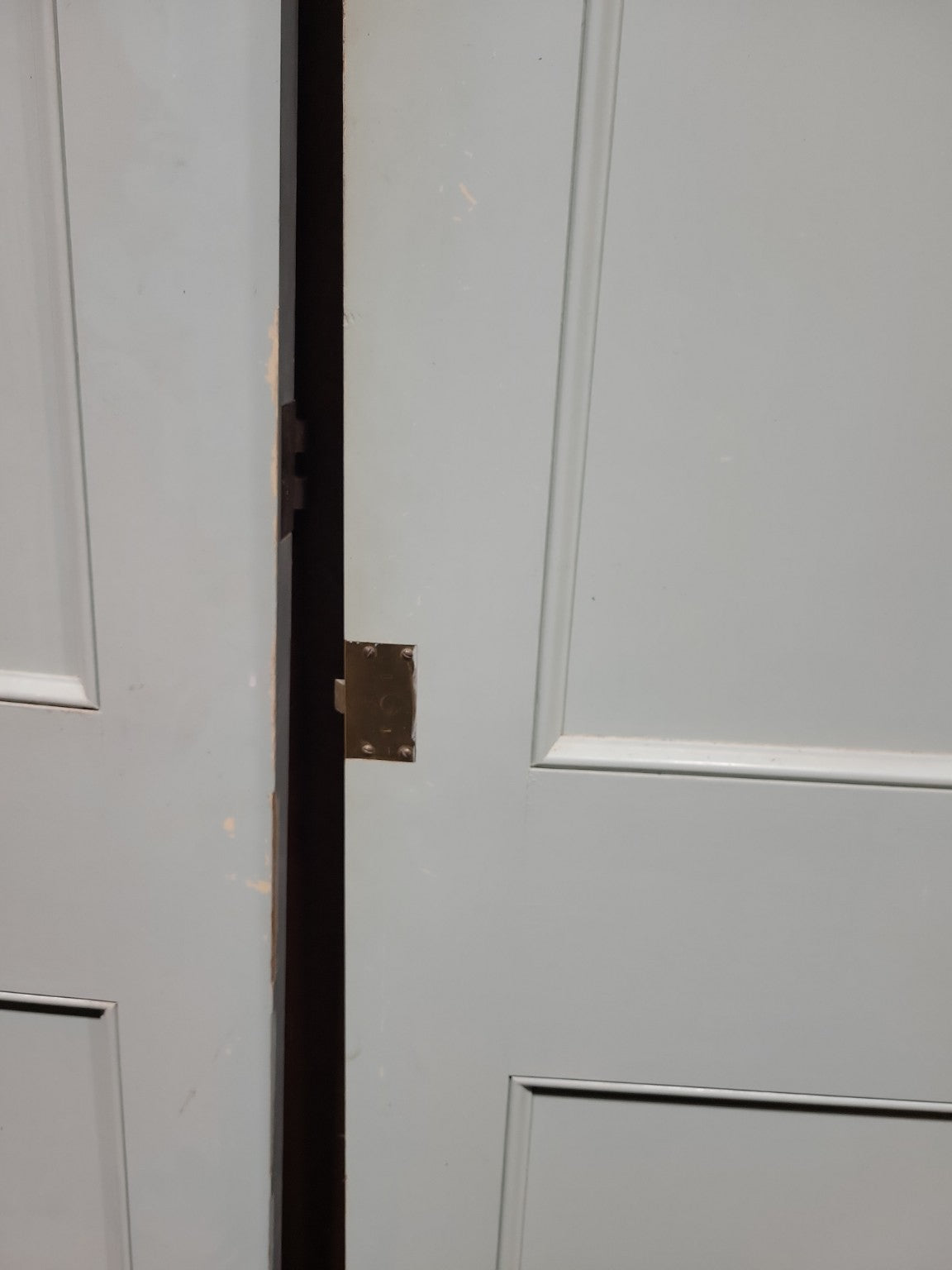 Pair of Pale Green Mirrored Panel Doors – 25 3/8" W x 76" H x 1 3/8" D (each)
