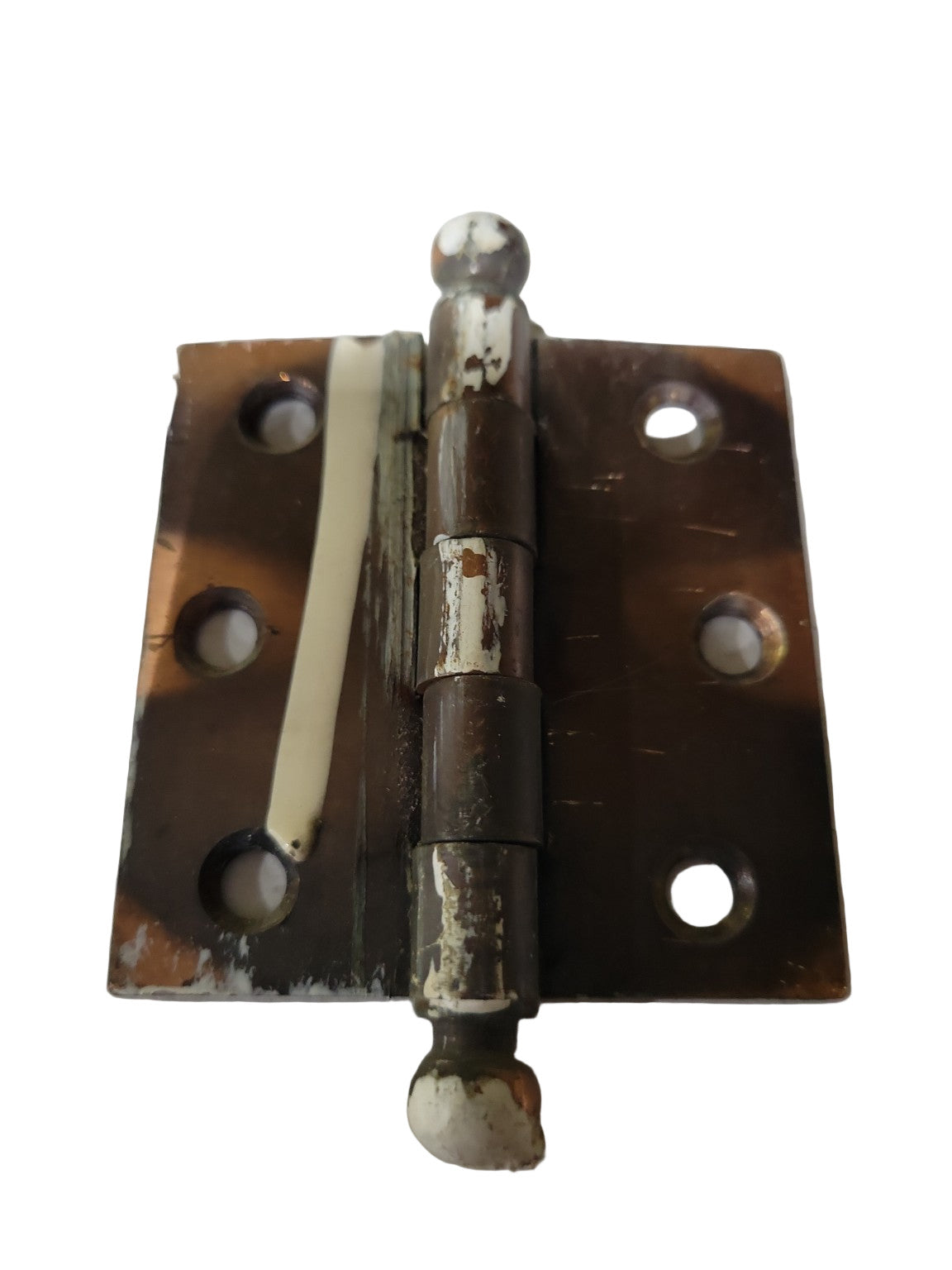 Set of 3 Small Ball Tip Cabinet Hinges – Brass Plated – 2 ⅝" W x 2 ½" H