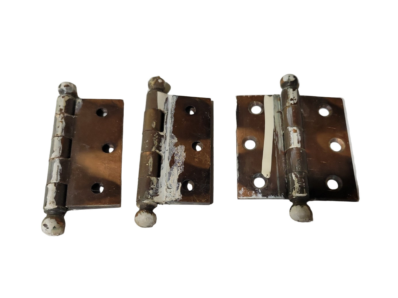 Set of 3 Small Ball Tip Cabinet Hinges – Brass Plated – 2 ⅝" W x 2 ½" H