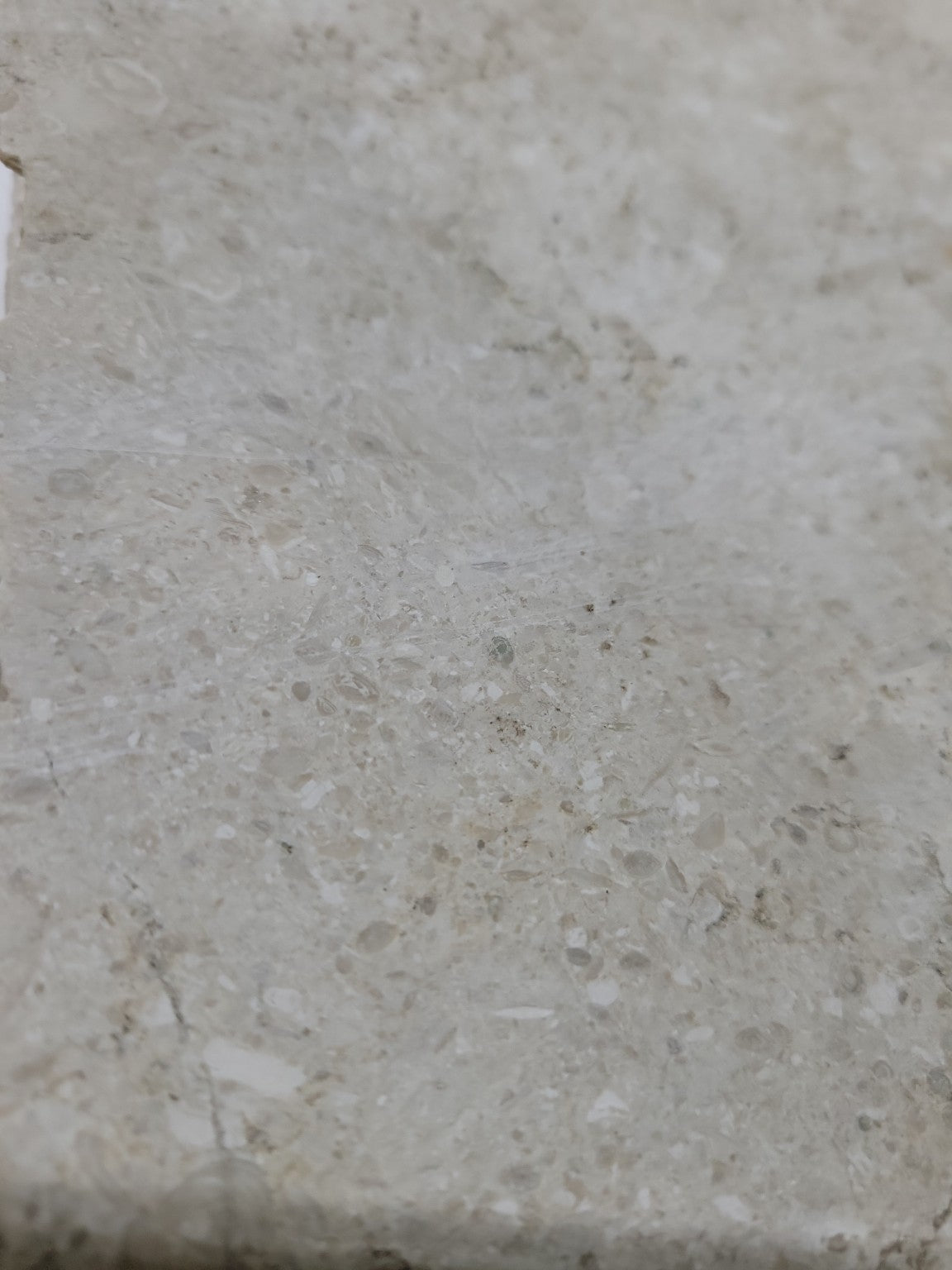 Beige Fossil Limestone Slab – 24 ½" x 11 ½" x 1"